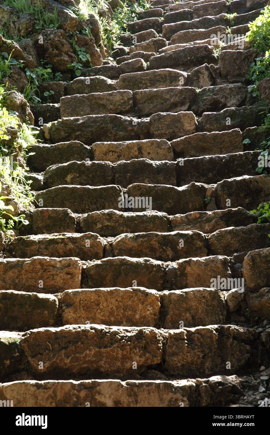 Eine aus Stein gebaute Treppe erhebt sich durch das Sonnenlicht auf einem Weg in den Bergen des Nordens Israels. Stockfoto
