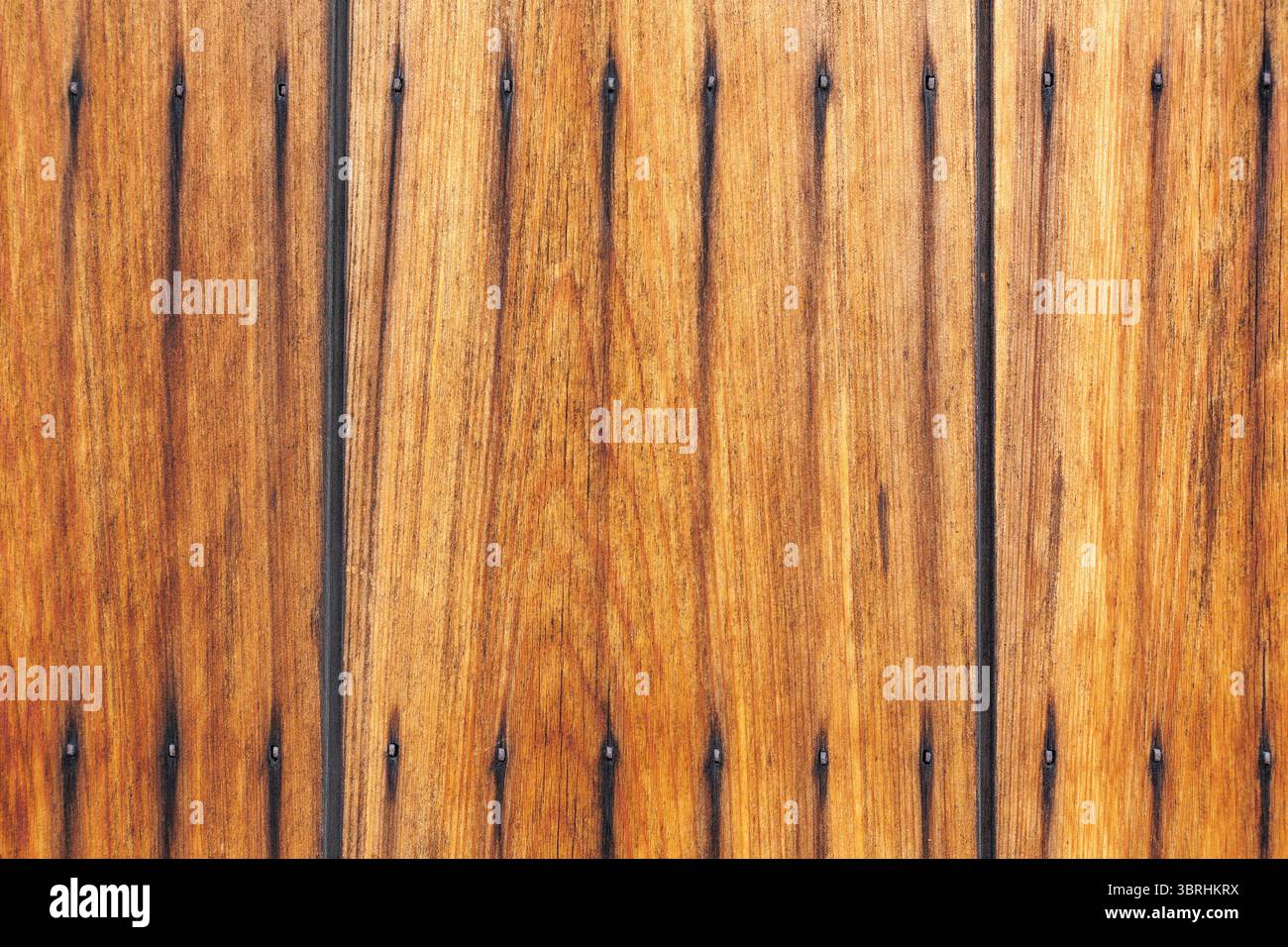 Vertikale Holzpaneele nebeneinander mit dunklen Linien und kleinen schwarzen Nägeln für Details. Holz weist ein natürliches Kornmuster mit warmen Farbtönen auf. Stockfoto