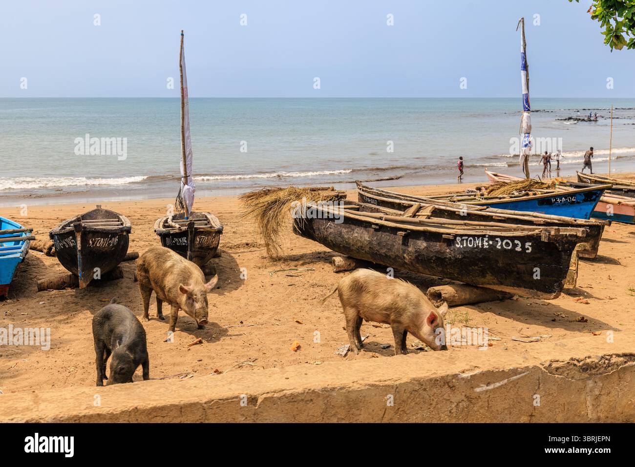 Bunte Holzfischboote werden am Sandstrand von Melao in der Stadt sao Tome mit drei Wildschweinen gezogen Stockfoto