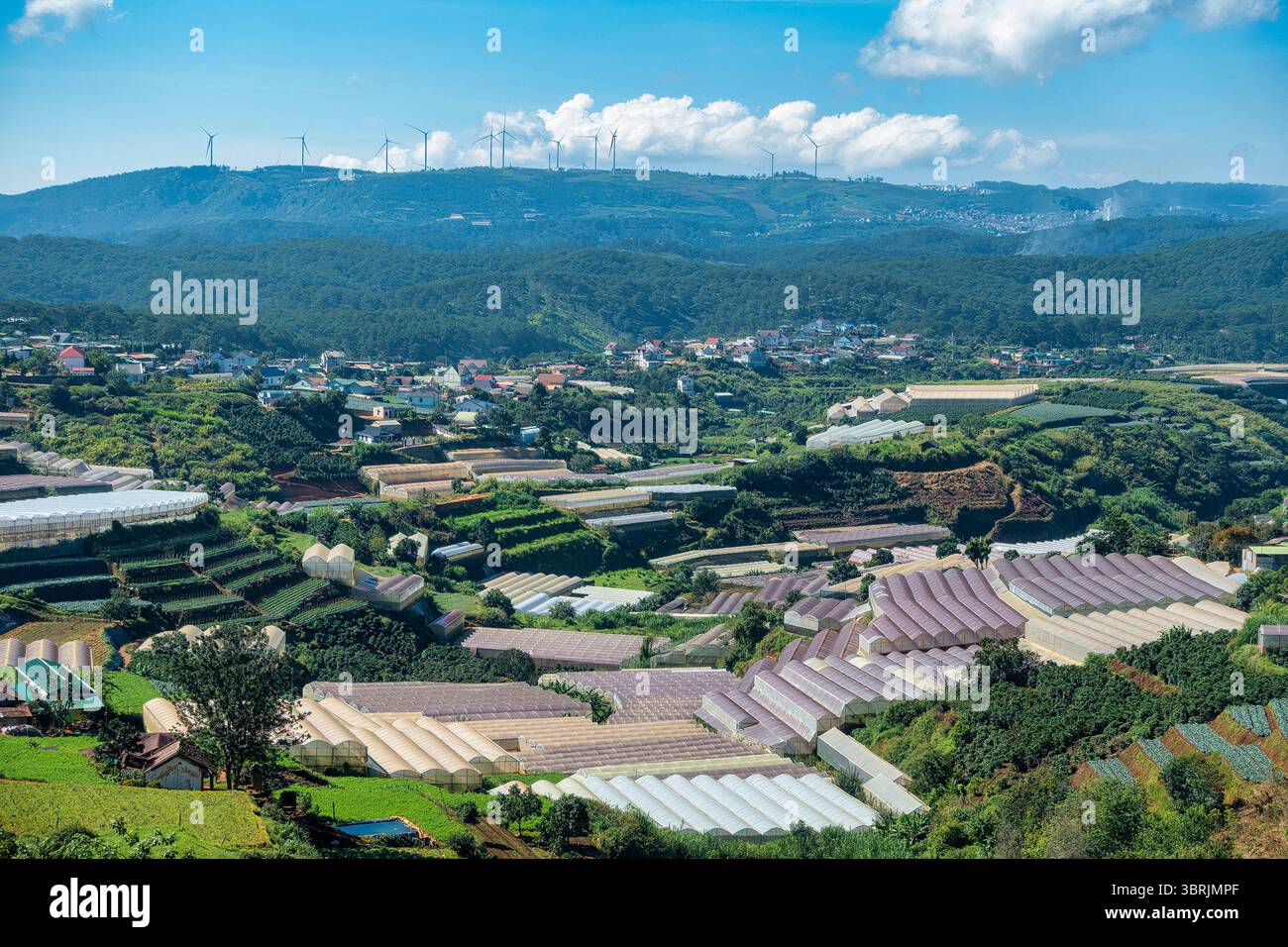 Ein kleines Tal in der Stadt Cau DAT, da Lat, Lam Dong mit Blumen- und landwirtschaftlichen Gewächshäusern, ist auch ein berühmter Ort zur Beobachtung der Wolken für Touristen, wenn comi Stockfoto