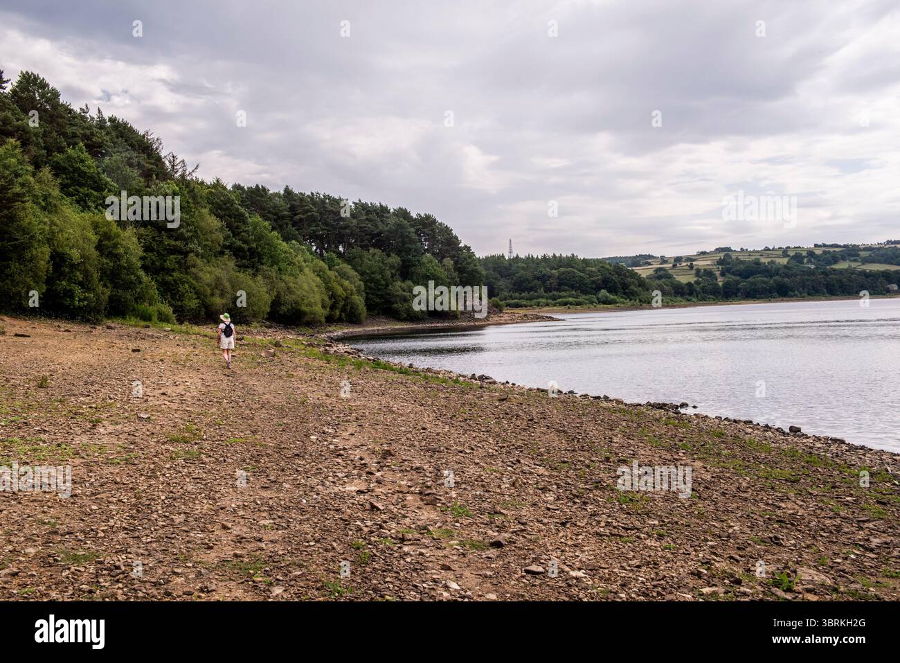 Harrogate, Großbritannien. Juli 2025. Da in Yorkshire ein strenges Verbot von Schlauchleitungen gilt, weisen zwei große Stauseen in der Nähe von Harrogate - Fewston und Swinsty - sehr geringe Wasserstände auf. Die Menschen nutzen „Strände“, die an Orten entstanden sind, die tief unter Wasser liegen sollten. ernesto Rogata/Alamy Live News Stockfoto