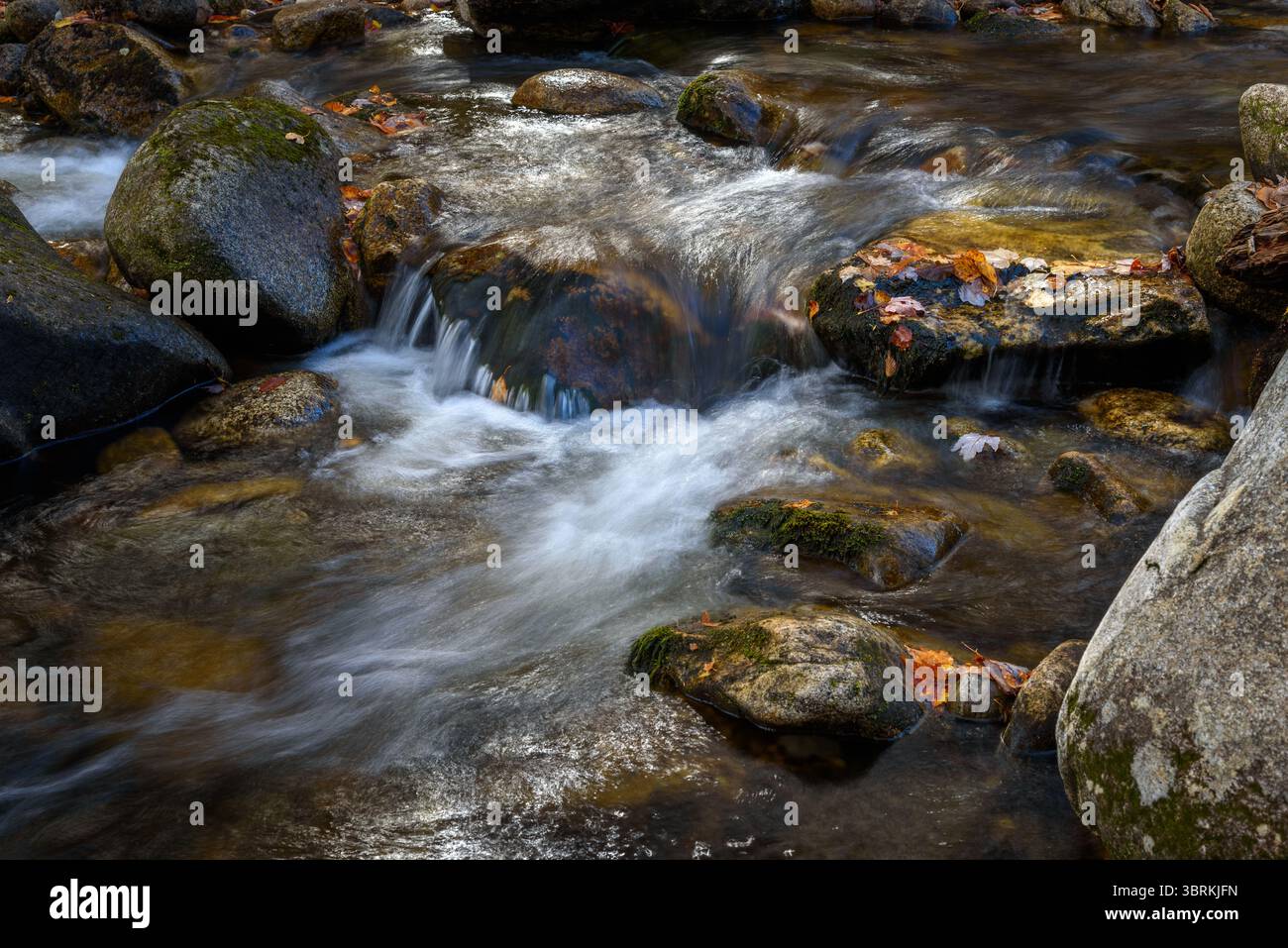 Nahaufnahme eines Wasserfalls auf einem Waldfluss in den Bergen im Herbst Stockfoto