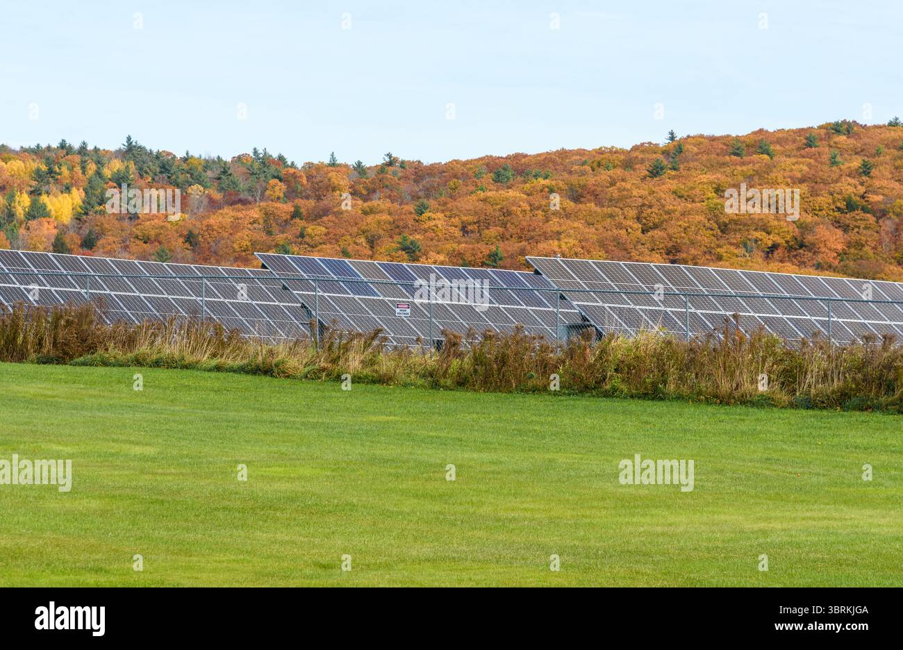 Reihen von Solarpaneelen in einer bewaldeten Hügellandschaft im Herbst Stockfoto