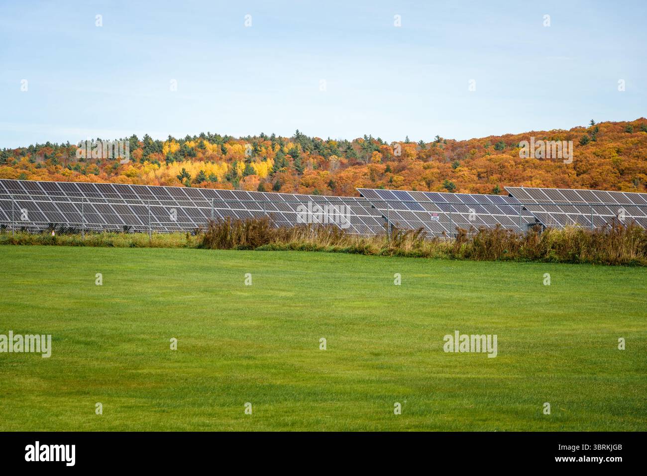 Umzäuntes Solarkraftwerk in einer bewaldeten Berglandschaft im Herbst Stockfoto