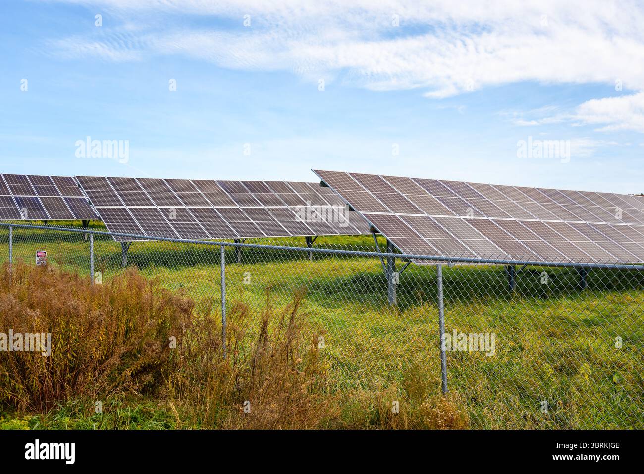 Reihen von Solarpaneelen zur Stromerzeugung auf dem Land an einem klaren Herbsttag Stockfoto