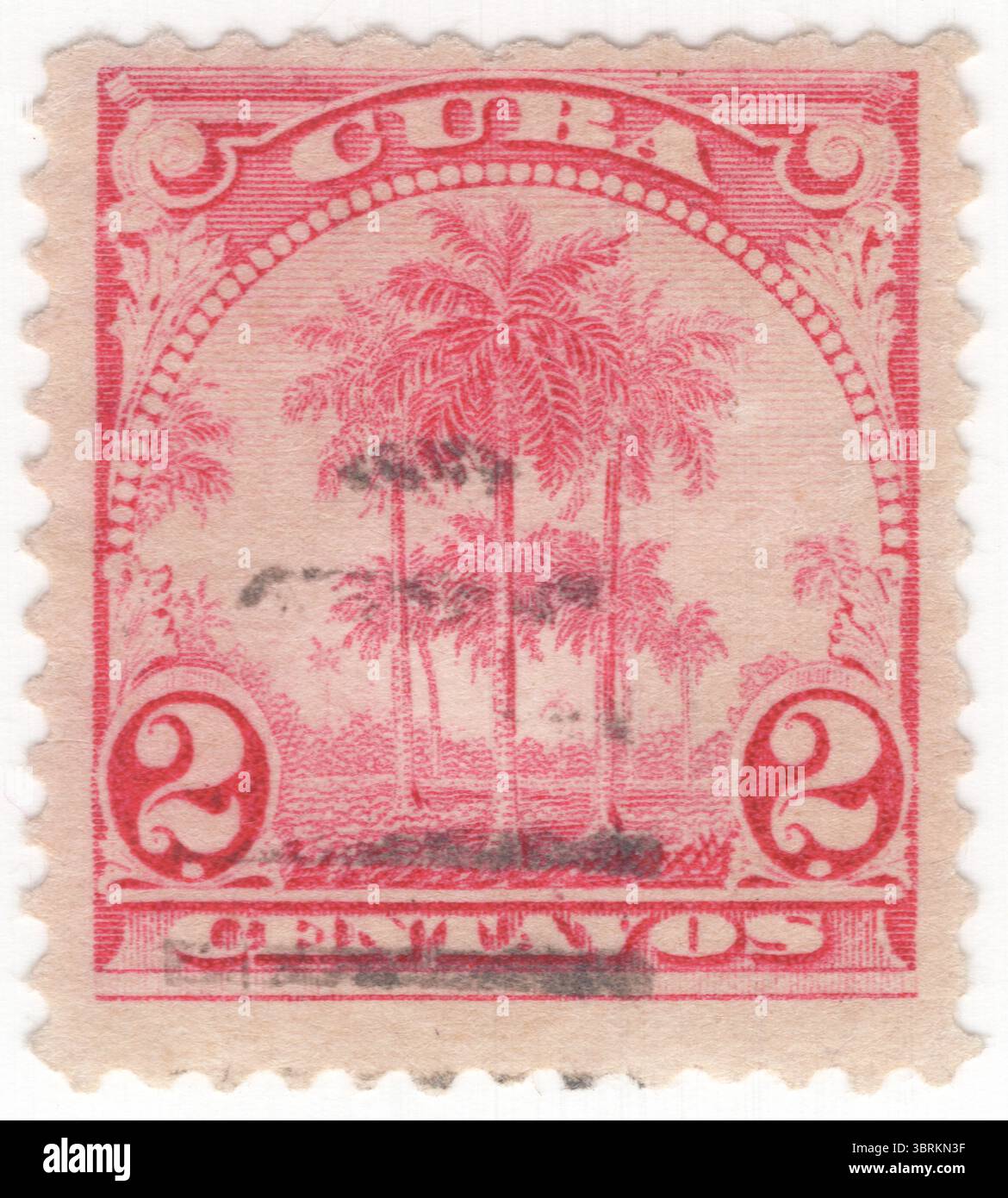 KUBA - 1905: 2 Centavo-Karmin-Briefmarken mit den Königspalmen. Ausgestellt von der Republik. Roystonea Regia, auch bekannt als Kubanische Königspalme oder Florida Königspalme, ist eine Palmenart, die in Mexiko, der Karibik, Florida und Teilen Mittelamerikas beheimatet ist. Eine große und attraktive Palme, die in den Tropen und Subtropen als Zierbaum gepflanzt wurde. Die Königspalme erreicht eine Höhe von 15 bis 24 m (50–80 ft). Die Populationen in Kuba und Florida wurden lange Zeit als separate Arten angesehen, gelten aber heute als eine einzige Art Stockfoto