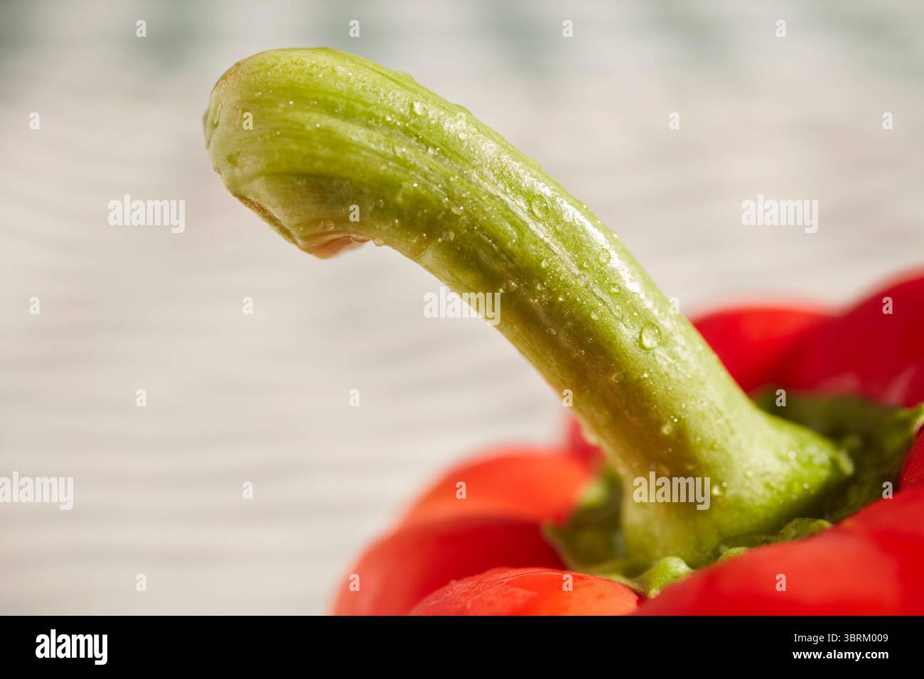 Eine rote Paprika Stockfoto