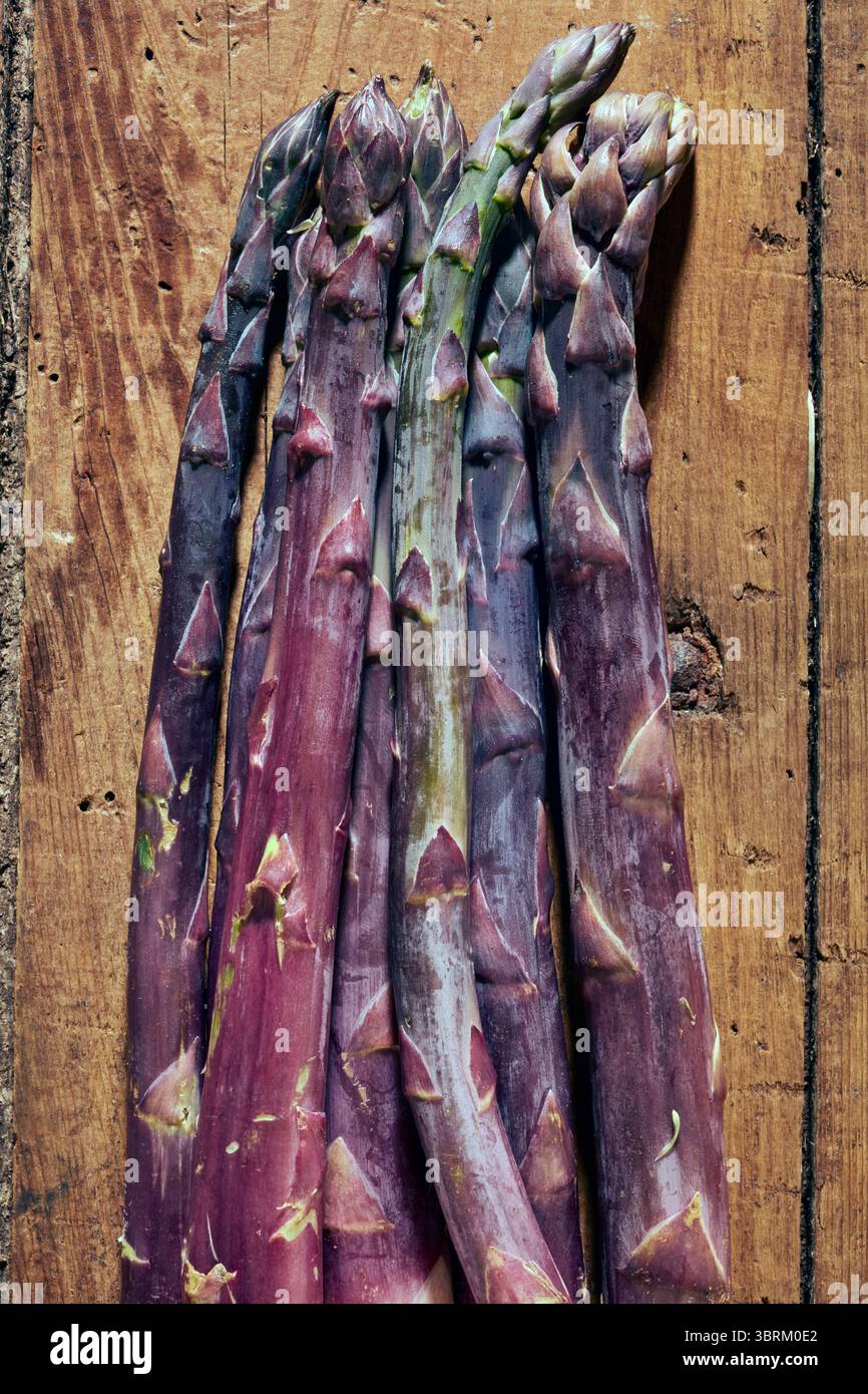 Eine Reihe von violetten Spargel Stockfoto
