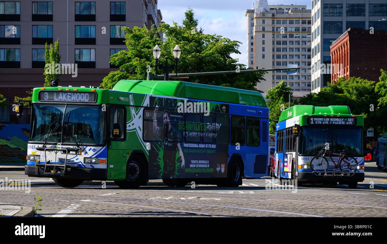 Tacoma, WA, USA - 2. Juli 2025; Pair of Pierce Transit Passagierbusse auf der Innenstadt von Tacoma Street Stockfoto