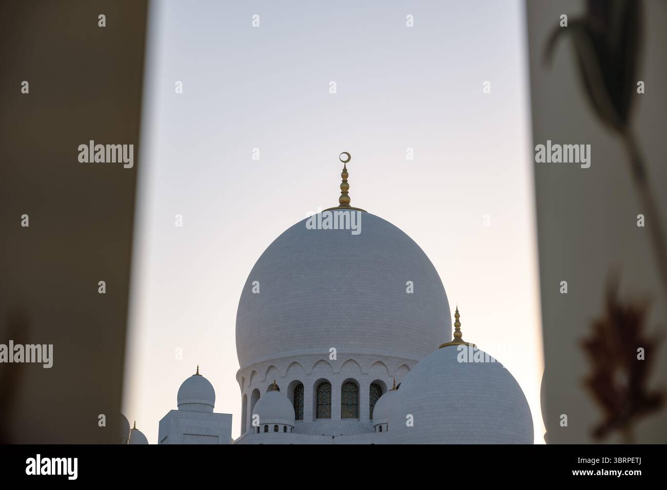 Blick auf die große Moschee Kuppel zwischen den Säulen, weiße Marmormoscheenarchitektur mit goldenen Details Stockfoto Blick auf die große Moschee Kuppel zwischen den Säulen, weiße Marmormoscheenarchitektur mit goldenen Details Stockfoto