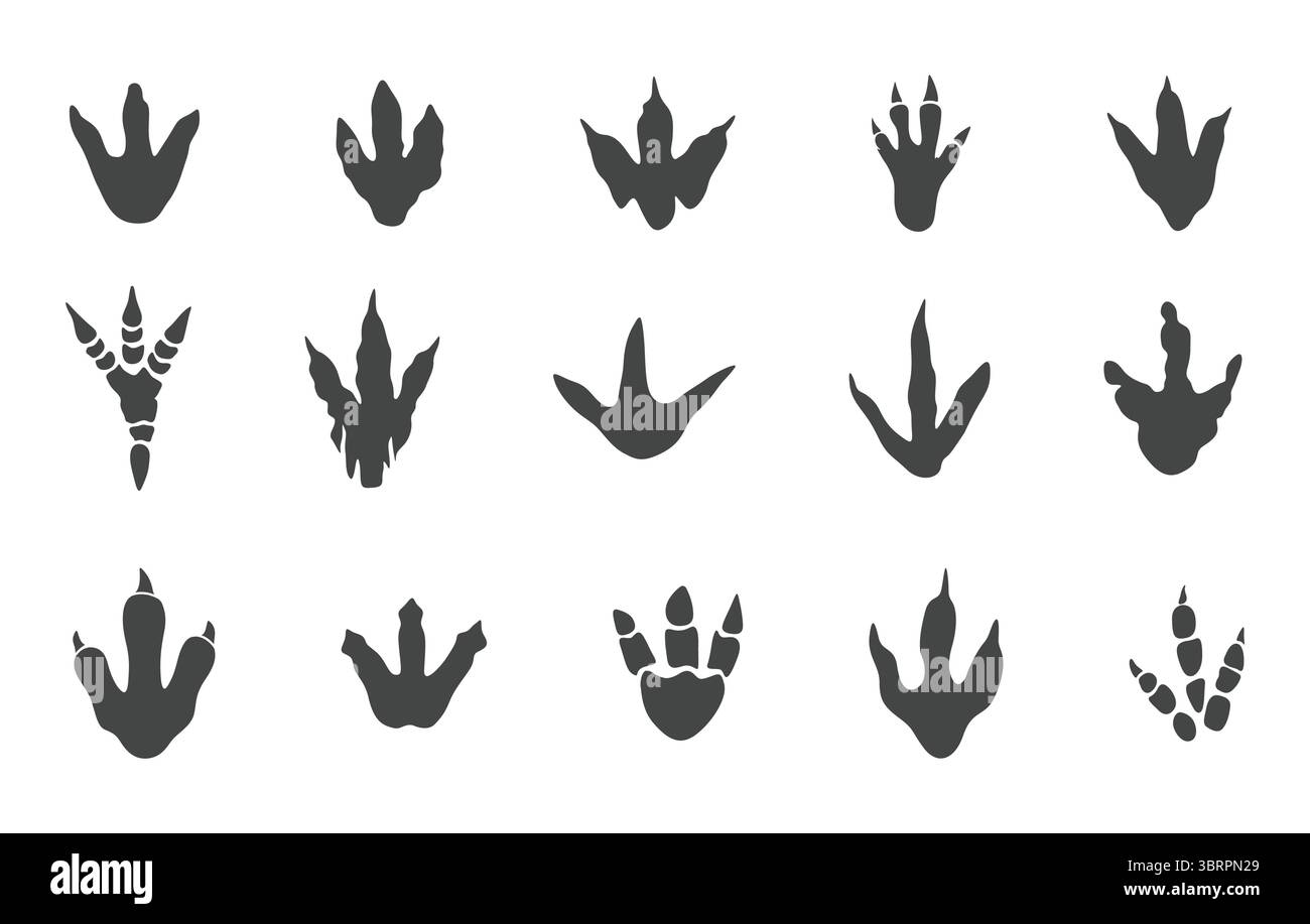 Dinosaurier Footprint Svg, Dinosaurier Footprint Silhouette, Dinosaurier Footprint Vektor, Dinosaurier Pfoten Print Silhouette, Dinosaurier Track Svg Stock Vektor Dinosaurier Footprint Svg, Dinosaurier Footprint Silhouette, Dinosaurier Footprint Vektor, Dinosaurier Pfoten Print Silhouette, Dinosaurier Track Svg Stock Vektor