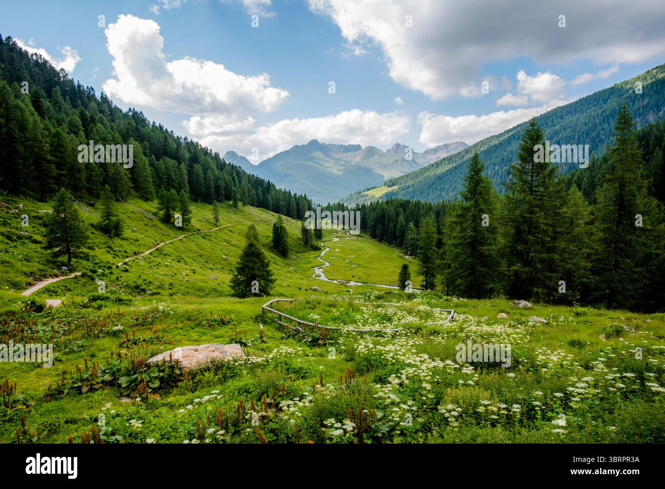 alpines Paradies kleines Tal mit Alpenbach zwischen den Gipfeln des Lagorai-Gebirges im Val Campelle Trient Italien Stockfoto