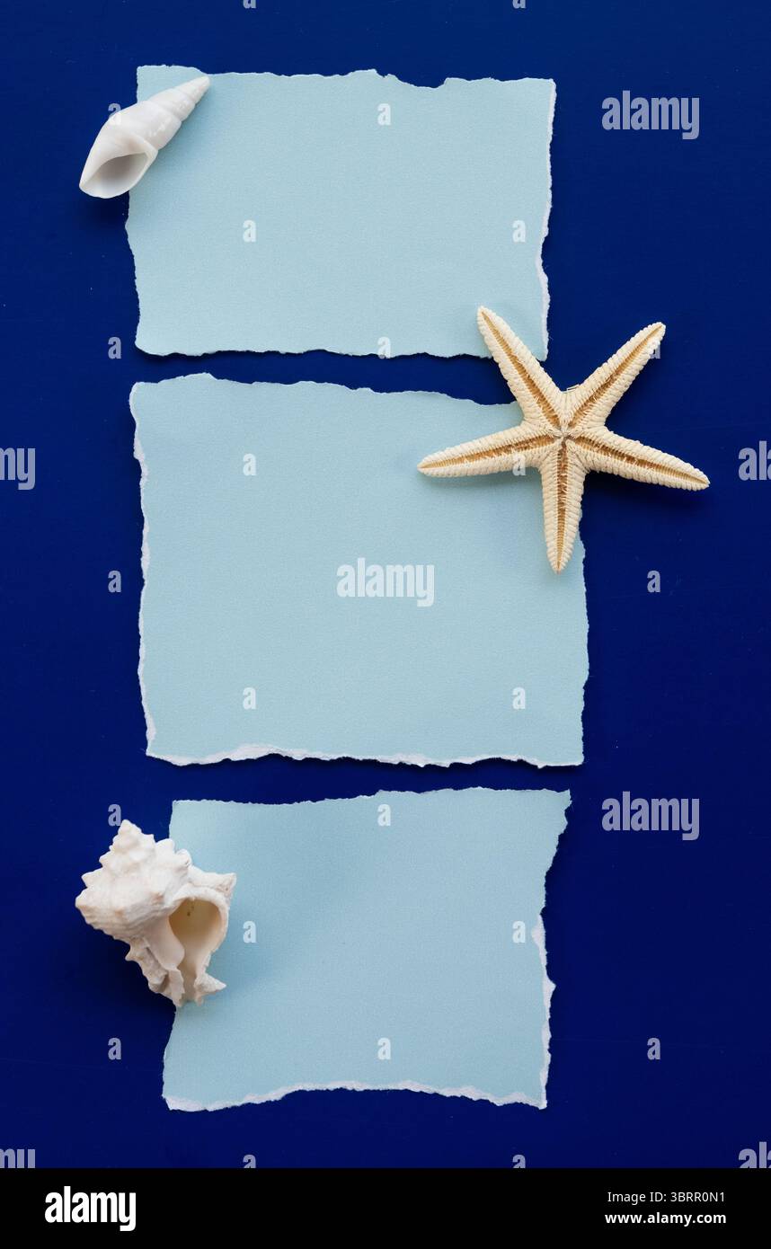 Gerissenes blaues Papieretikett mit Muscheln isoliert auf dunklem Hintergrund, leeres Papier mit Muschelrand, ästhetischer Küsten-Hintergrund mit leerem Raum Stockfoto