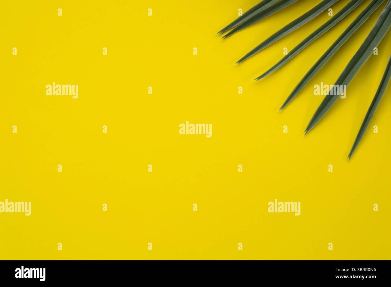 Gelber Hintergrund mit tropischen Blättern flach gelegt, lebhafter tropischer Hintergrund mit leerem Platz für Text oder Inhalt Stockfoto