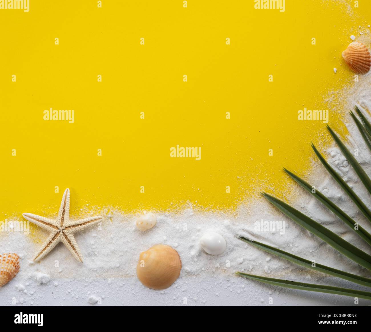 Ästhetischer Strand flacher Hintergrund mit Seesternen, Muscheln, Sand, Palmblättern und leerem Platz für Text oder Fotos, HD Strand einrichten Hintergrund für Stockfoto