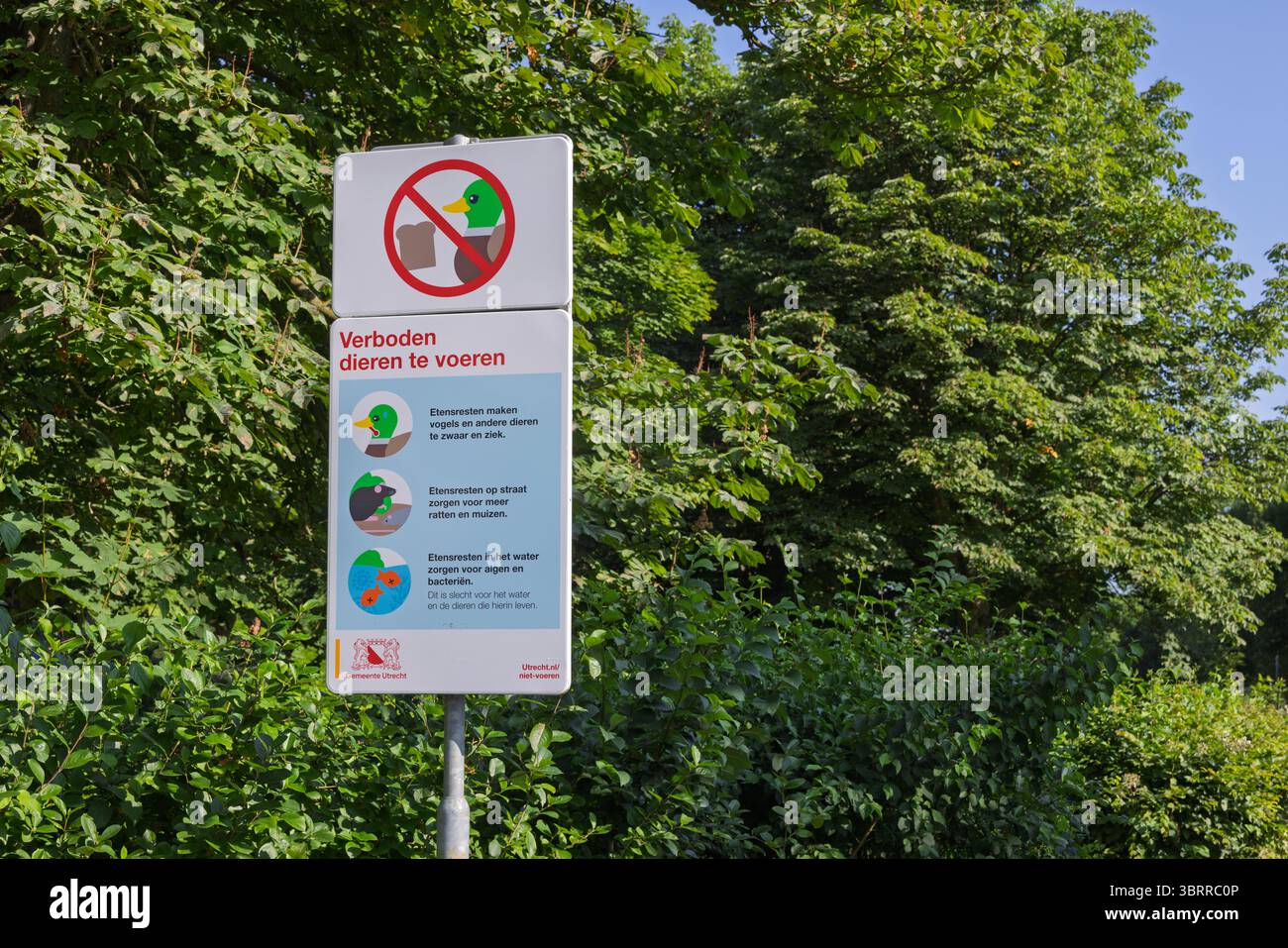 Ein niederländisches Schild verbietet ausdrücklich die Fütterung von Tieren und erklärt die negativen Auswirkungen auf ihre Gesundheit und öffentliche Hygiene, die gegen üppig grüne Bäume gerichtet sind. Uz Stockfoto