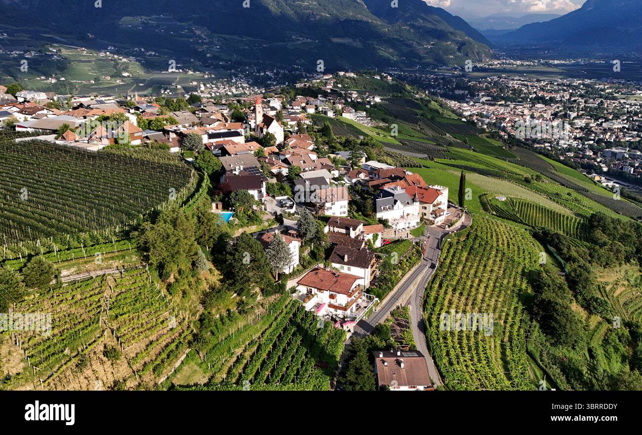 Hier der Blick bei Dorf Tirol oberhalb der Kurstadt Meran, Meran auf die Pfarrkirche hl. Johannes der Taufer, Häusermeer, Weinberge, Meranerland, Burggrafenamt, Südtirol, Südtirol, Südtirol, Tourismus, Wandern, Bergsteigen, spazieren, Shoppen, Relaxen, Urlaubsort *** hier der Blick bei Dorf Tirol oberhalb des Kurortes Meran, Meran auf die Pfarrkirche St. Johannes der Taufe, Häusermeer, Weinberge, Meraner Land, Burggrafenamt, Südtirol, Südtirol, Südtirol, Tourismus, Wandern, Bergsteigen, Wandern, Einkaufen, Entspannen, Ferienresort Stockfoto Hier der Blick bei Dorf Tirol oberhalb der Kurstadt Meran, Meran auf die Pfarrkirche hl. Johannes der Taufer, Häusermeer, Weinberge, Meranerland, Burggrafenamt, Südtirol, Südtirol, Südtirol, Tourismus, Wandern, Bergsteigen, spazieren, Shoppen, Relaxen, Urlaubsort *** hier der Blick bei Dorf Tirol oberhalb des Kurortes Meran, Meran auf die Pfarrkirche St. Johannes der Taufe, Häusermeer, Weinberge, Meraner Land, Burggrafenamt, Südtirol, Südtirol, Südtirol, Tourismus, Wandern, Bergsteigen, Wandern, Einkaufen, Entspannen, Ferienresort Stockfoto