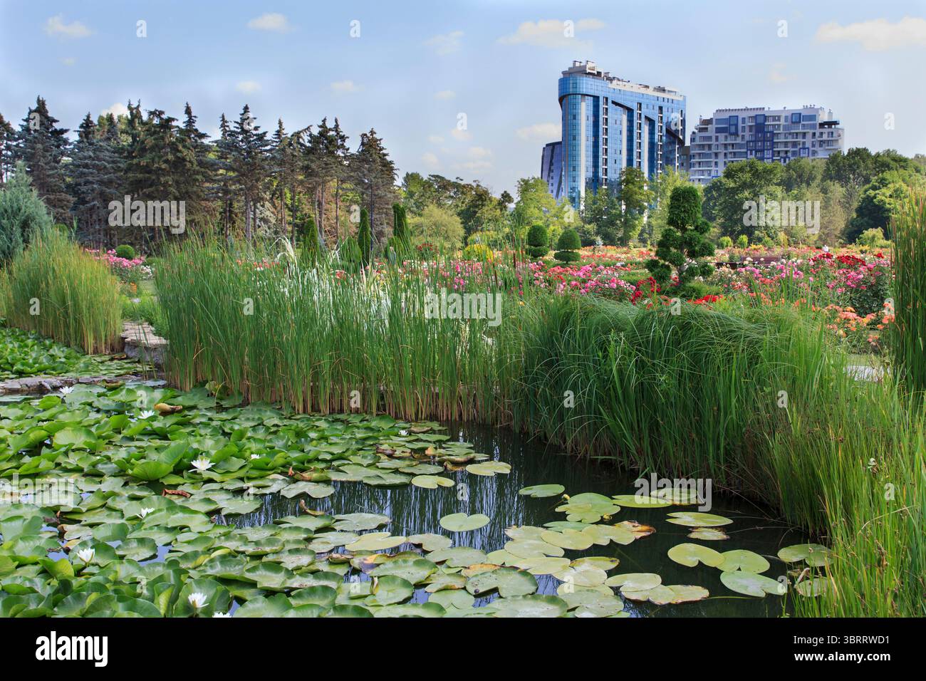 Wunderschöne blühende Pflanzen umgeben einen ruhigen Teich mit Lilienpads. Hoch aufragende Gebäude erheben sich über dem üppigen Grün und zeigen das urbane Leben in der Nähe von n Stockfoto Wunderschöne blühende Pflanzen umgeben einen ruhigen Teich mit Lilienpads. Hoch aufragende Gebäude erheben sich über dem üppigen Grün und zeigen das urbane Leben in der Nähe von n Stockfoto
