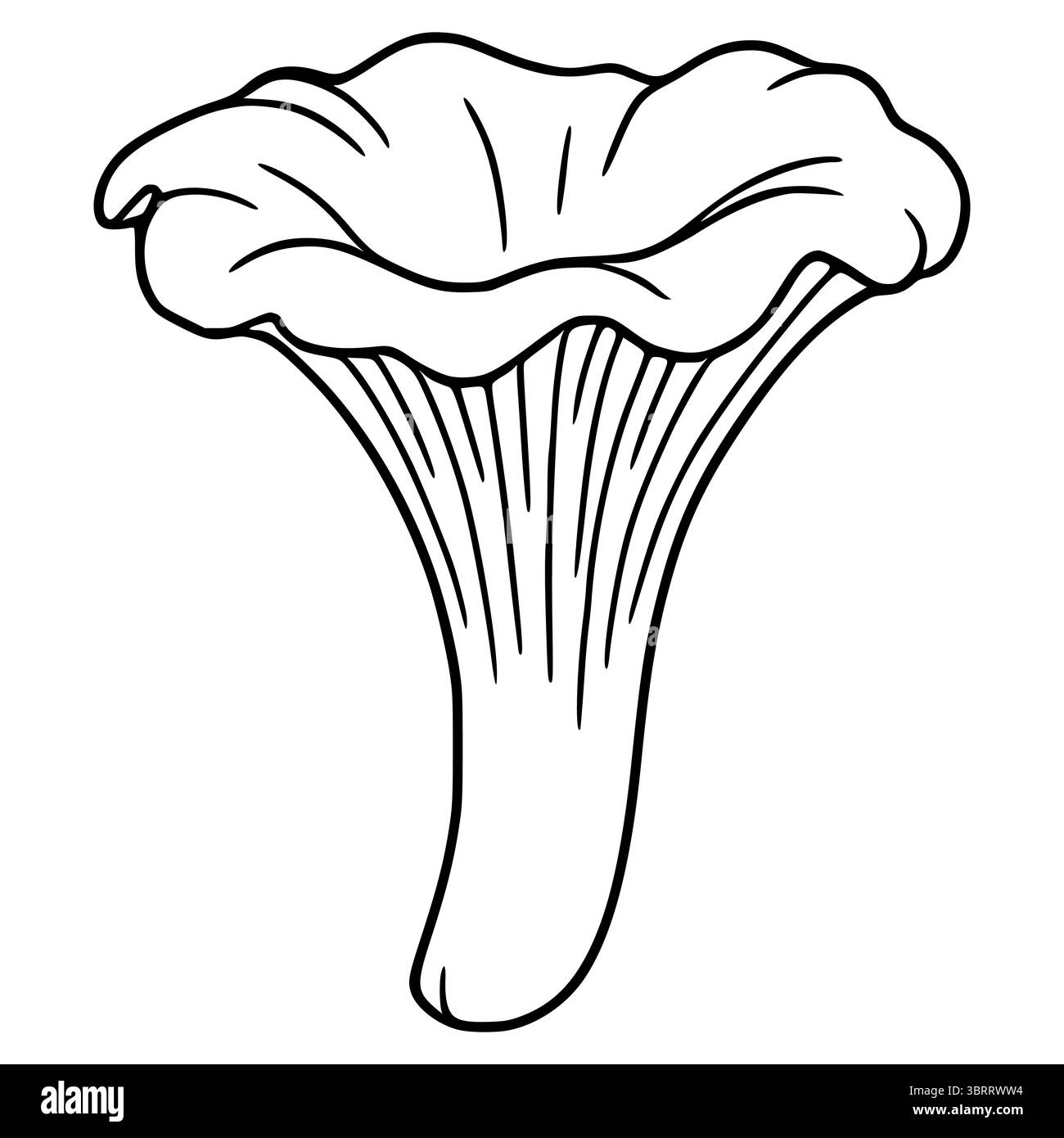 Eine detaillierte Vektor-Illustration eines Pfifferlings mit einem einzigartigen, handgezeichneten Stil mit auffälligen Umrissen und komplizierten Details in der Kappe und Stock Vektor