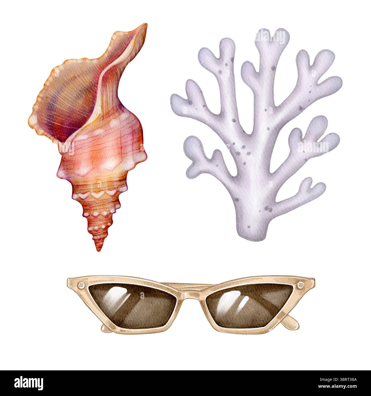 Handgezeichnete Aquarellillustration von Meereskorallenzweigen, spiralförmigen Muscheln und beigefarbenen Sonnenbrillen. Isoliert auf weißem Hintergrund. Ideal für Karten, Packag Stockfoto