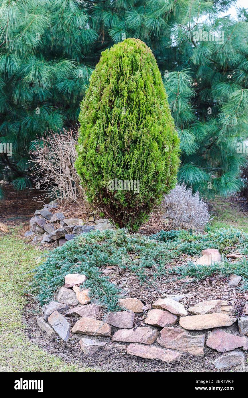 bester dnger zimmerpflanzen Zimmerpflanzen Dnger 0,5l  Foliage Dreams