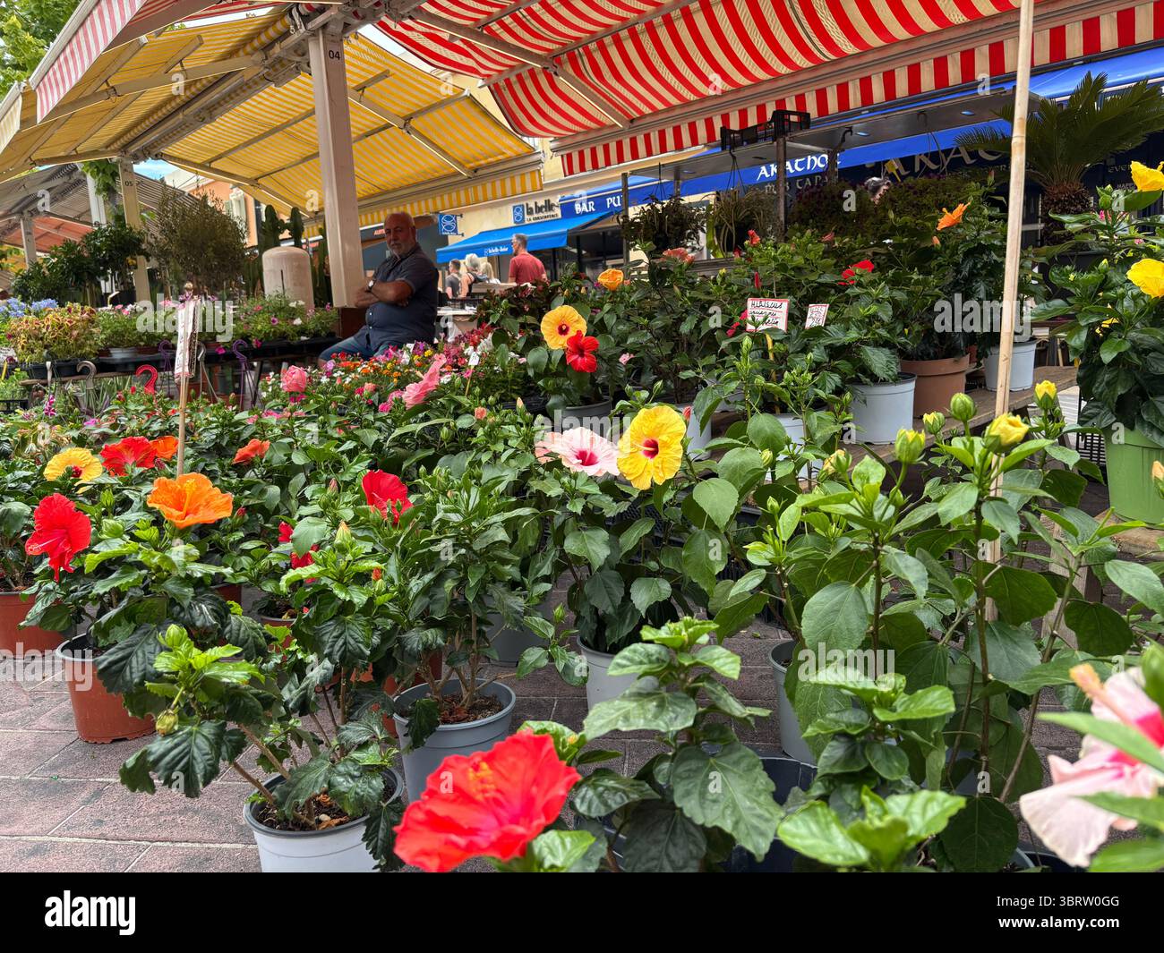 Blumenmarkt CR Saleya Nizza. Stockfoto