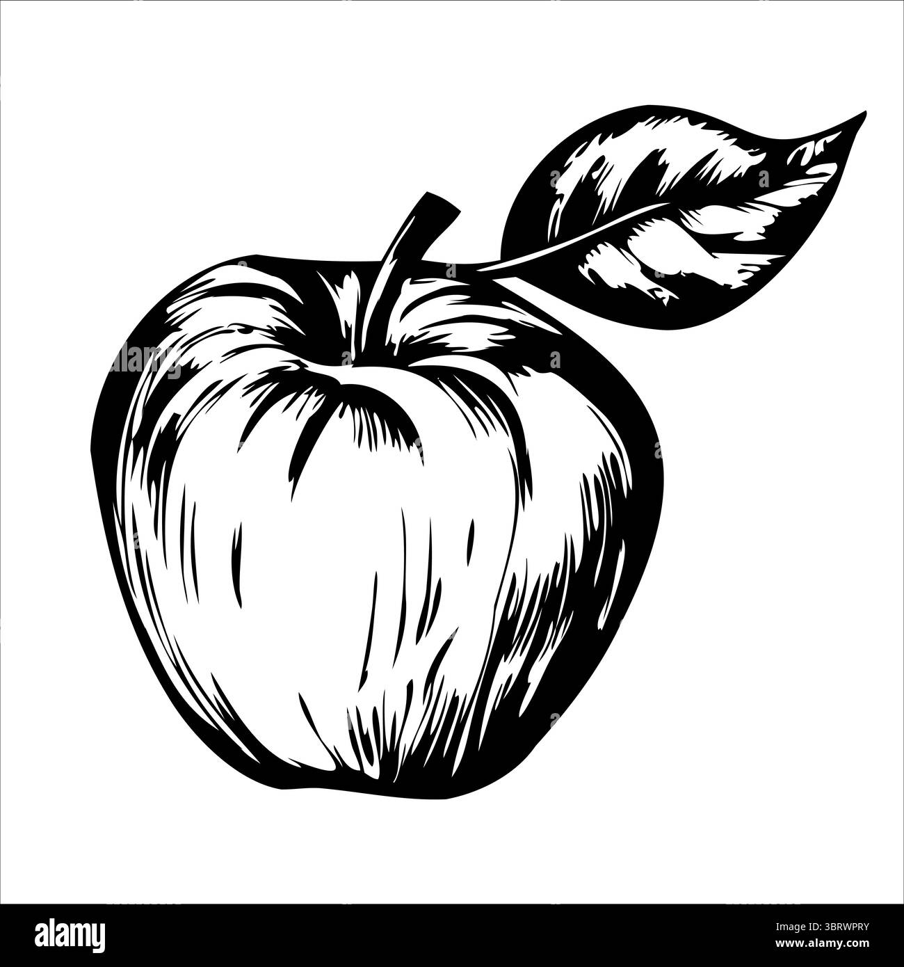 Eine detaillierte Abbildung eines einzelnen Apfels mit einem Blatt. Der Apfel ist rund und hat eine glatte Oberfläche, die seine natürliche Textur und Form unterstreicht. Stock Vektor