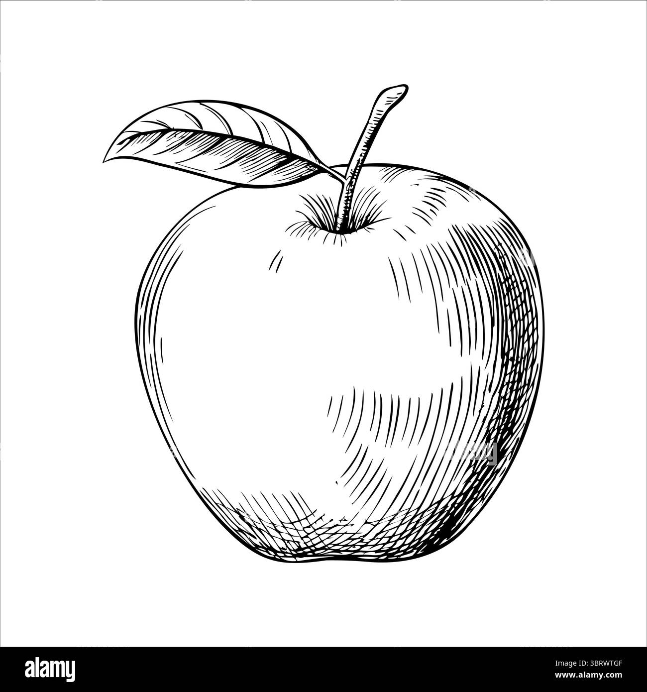 Eine handgezeichnete Illustration eines einzelnen Apfels mit einem Blatt. Der Apfel ist rund und hat eine glatte Oberfläche mit detaillierten Schattierungen und Texturen. Stock Vektor