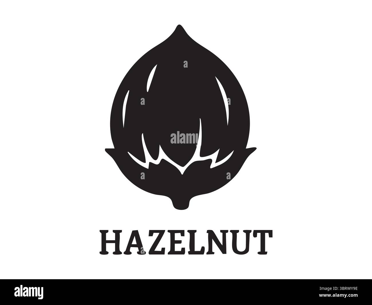 Schwarze Silhouette von Haselnuss isoliert auf weißem Hintergrund, grafische Illustration. Konzept von Icon, Logo, Nuss, Gesundheit Lebensmittel, Design-Element, kulinarisches Essen Stock Vektor