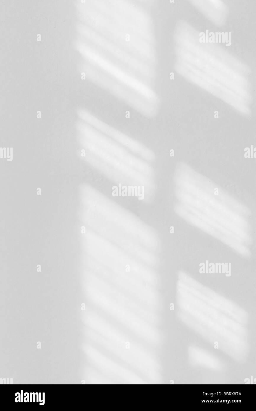 Der Hintergrund ist der Schatten des Fensterrahmens, der von Sonnenlicht auf eine weiße Wand geworfen wird. Das weiche Licht erzeugt ein ruhiges und minimalistisches abstraktes Muster. Stockfoto