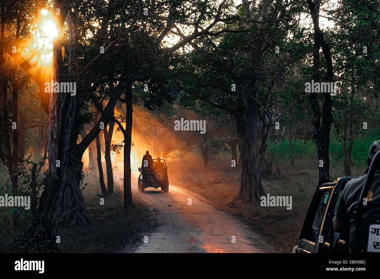 Stairway to Heaven Stockfoto