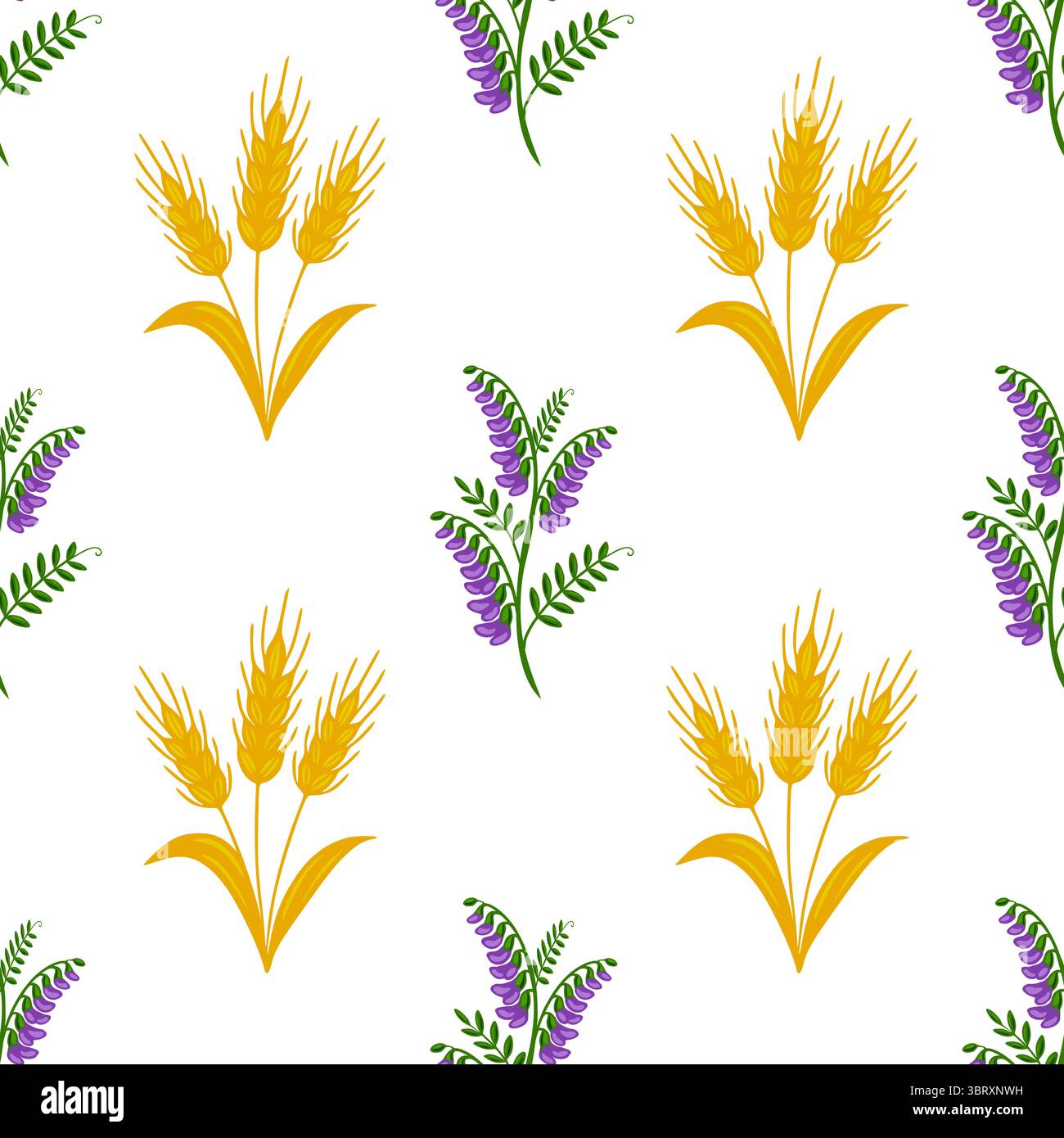 Nahtloses Vektormuster mit stilisierten goldenen Weizenstielen und lila getufteten Wickchenblüten auf weißem Hintergrund, was ein rustikales und doch elegantes de schafft Stock Vektor