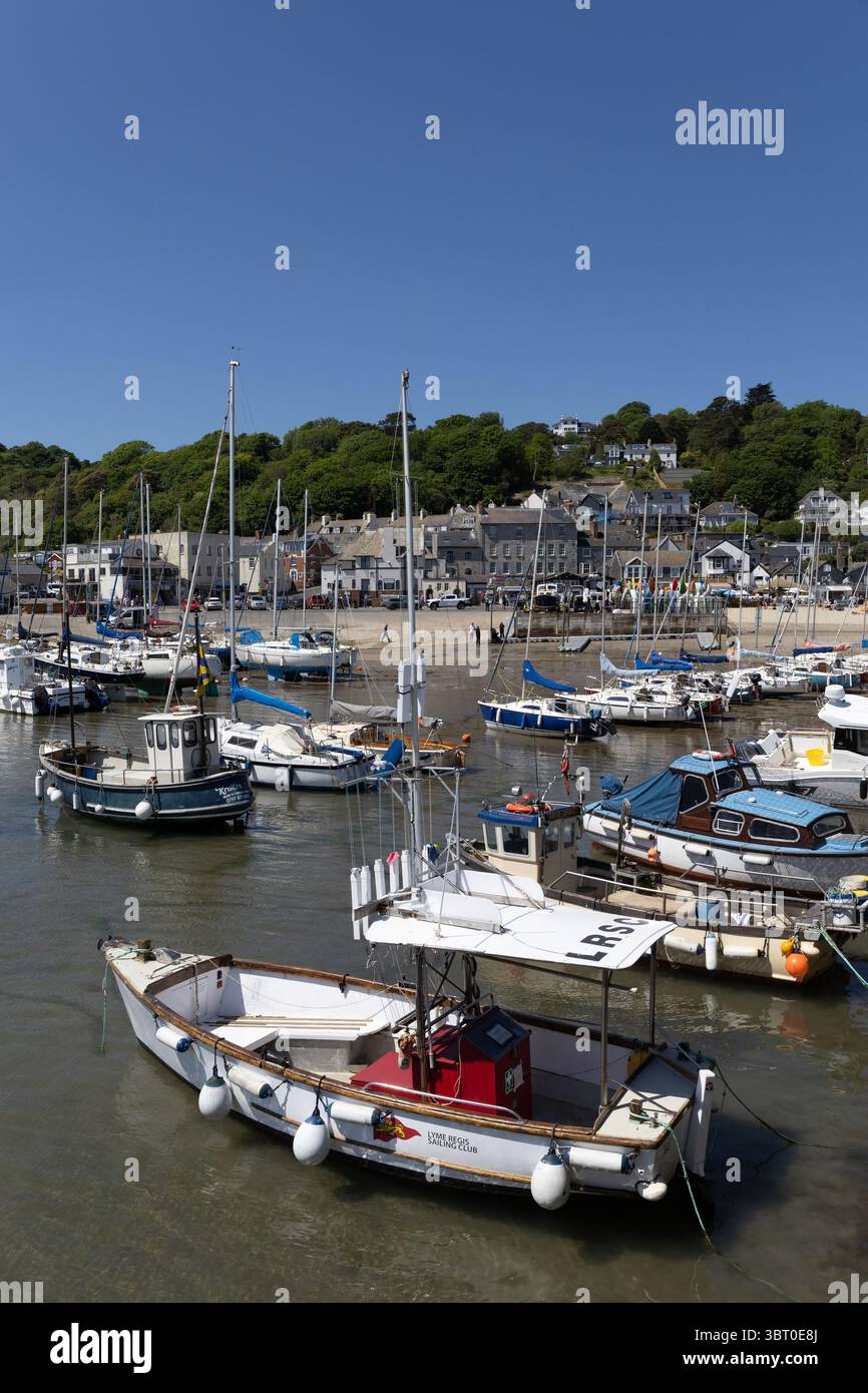 Am Meer bei Lyme Regis, Dorset, England Stockfoto