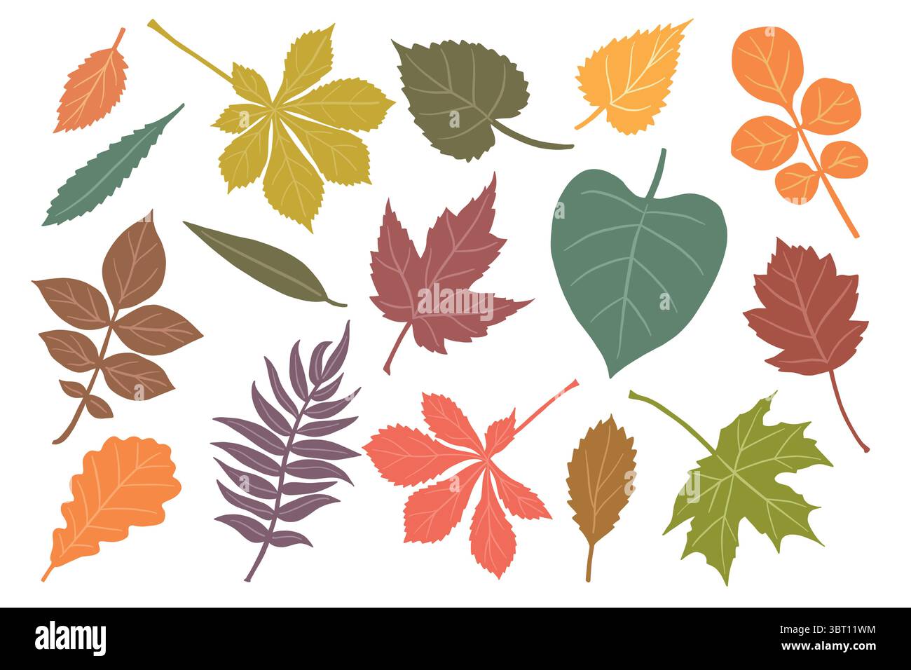 Herbstfallende Blätter isoliert auf weißem Hintergrund. Vektor Set Illustration mit Weide, Erle, Ahorn, Kastanie, Eiche, Flieder und andere. Stock Vektor