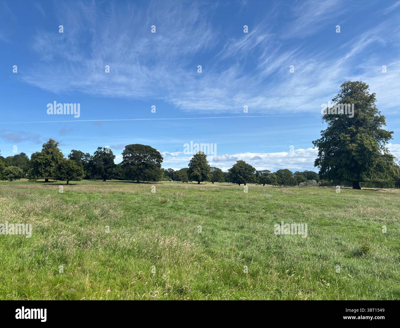 Offenes Ackerland in East Lothian, gespickt mit alten Bäumen und Hecken, bietet eine ruhige ländliche Landschaft und landwirtschaftlich genutztes Land im Sommerlicht Stockfoto