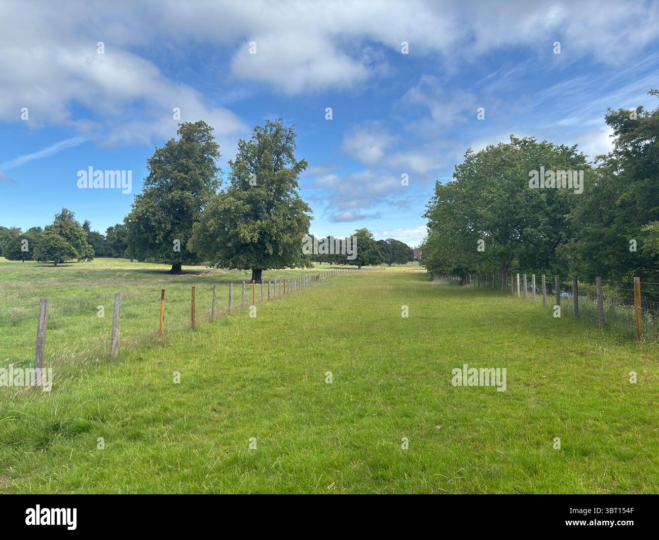 Offenes Ackerland in East Lothian, gespickt mit alten Bäumen und Hecken, bietet eine ruhige ländliche Landschaft und landwirtschaftlich genutztes Land im Sommerlicht Stockfoto