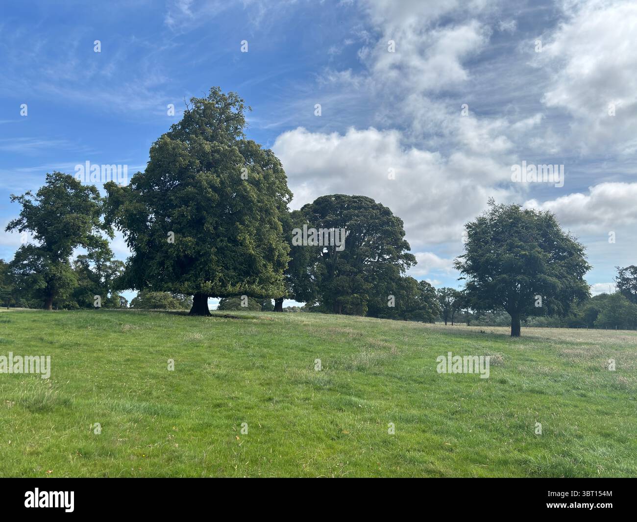 Offenes Ackerland in East Lothian, gespickt mit alten Bäumen und Hecken, bietet eine ruhige ländliche Landschaft und landwirtschaftlich genutztes Land im Sommerlicht Stockfoto