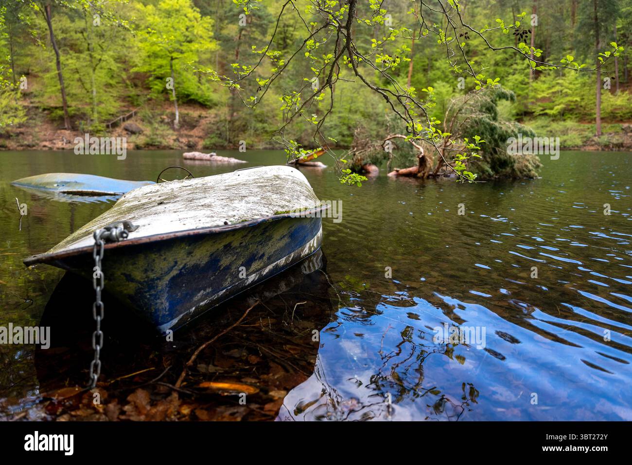 Rustikales, moosbedecktes Boot vor Anker am ruhigen Waldteich Stockfoto
