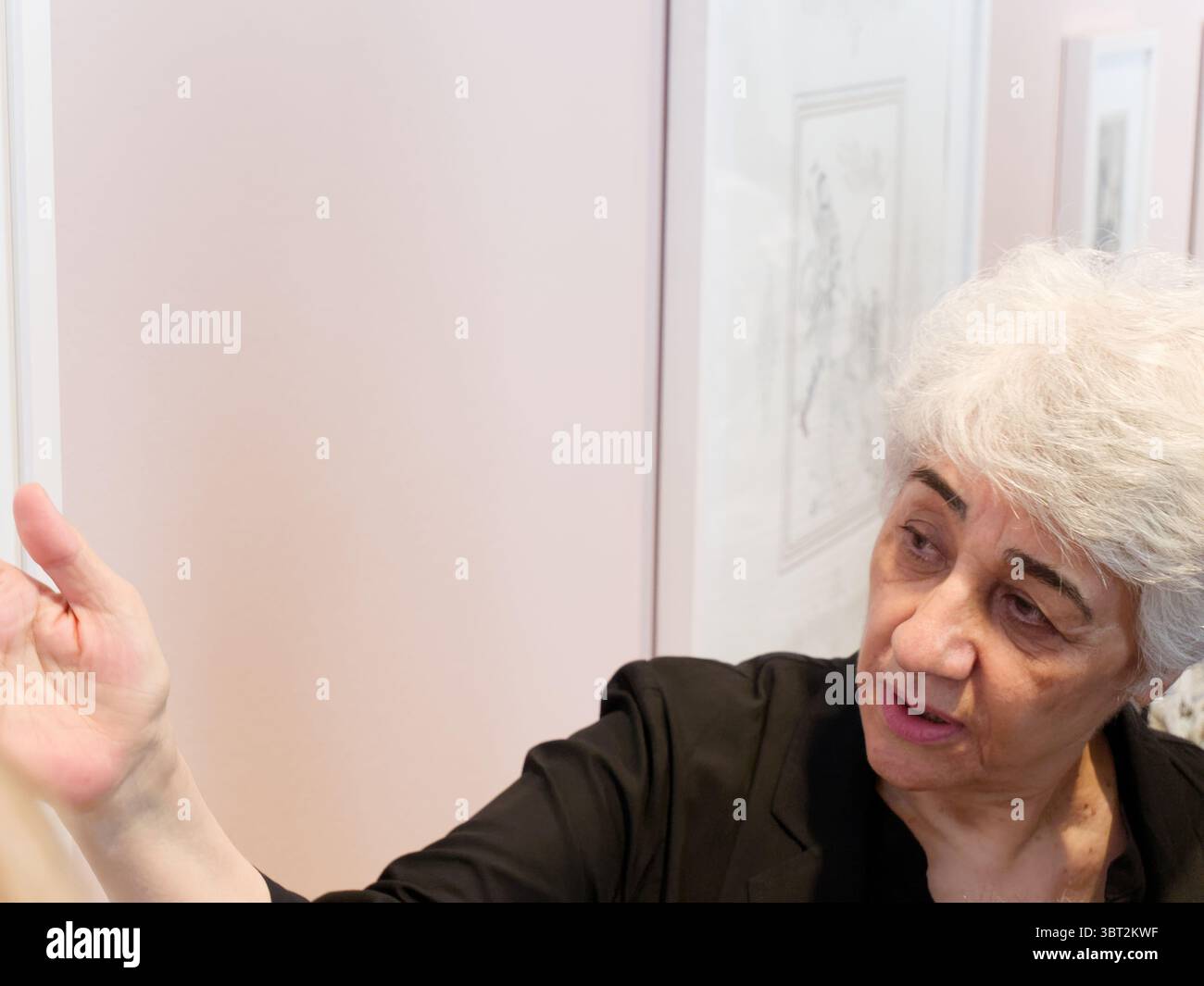 Bruehl, Deutschland, 25. Juni 2025 - Ausstellung mit Werken des iranischen Künstlers Farah Ossouli im Max Ernst Museum, erinnern Sie sich an den Flug, der Vogel wird d Stockfoto