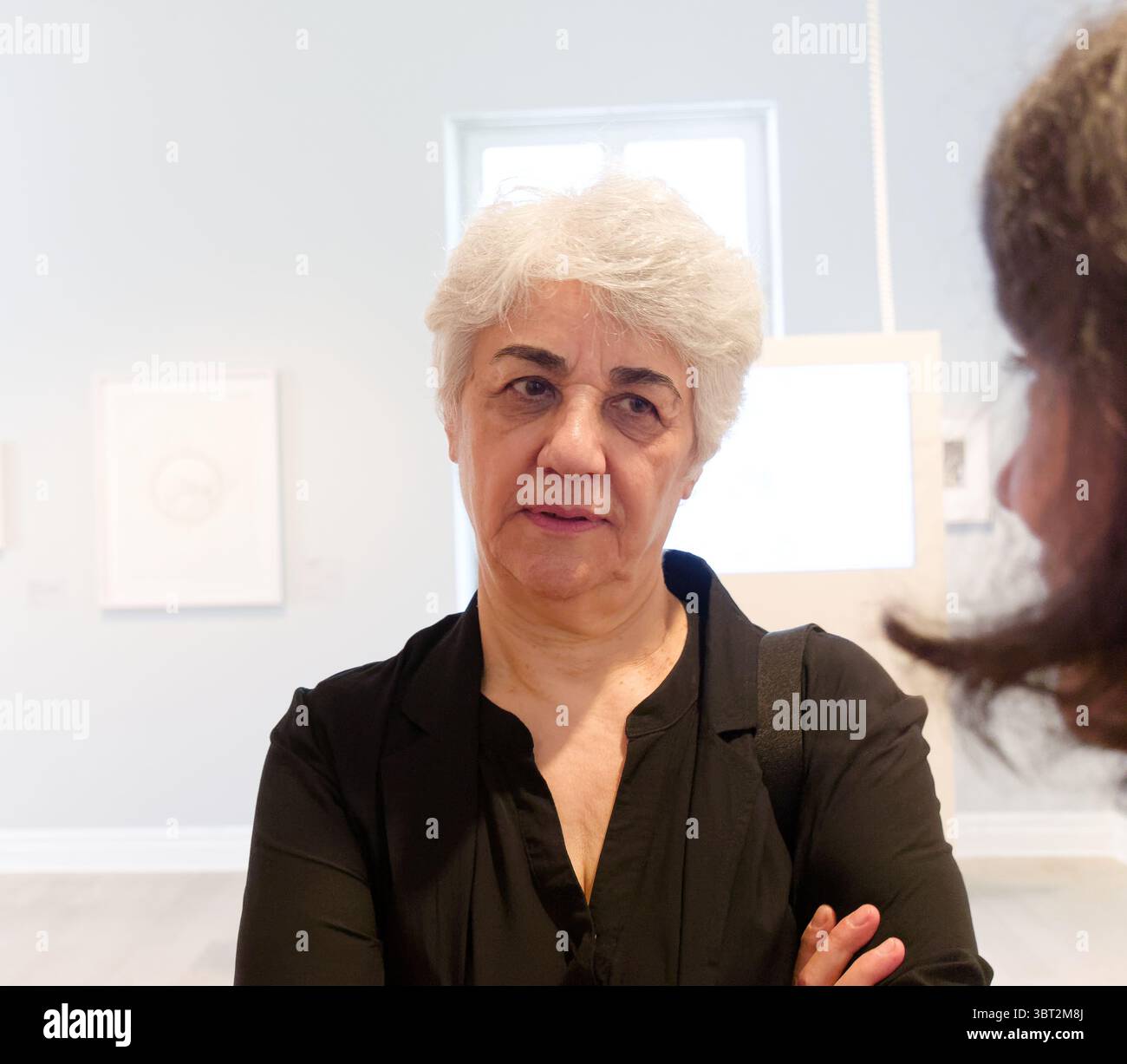 Bruehl, Deutschland, 25. Juni 2025 - Ausstellung mit Werken des iranischen Künstlers Farah Ossouli im Max Ernst Museum, erinnern Sie sich an den Flug, der Vogel wird d Stockfoto