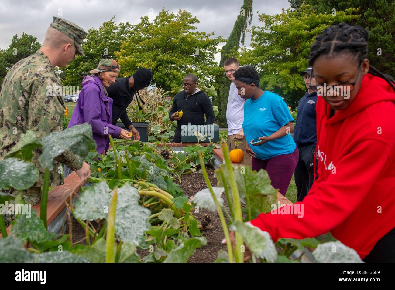 18. September 2019 – Oak Harbor, Washington, USA – Tricia Heimer, Mitte links, stellvertretende Gartenkoordinatorin der Washington State University (WSU) Island County Extension, unterrichtet Seeleute an der befestigten Naval Air Station (NAS) Whidbey Island und verschiedene Pächterkommandos, wie man ein Gartenbeet auf dem Ault Field erntet und ausräumt. Das WSU Island County Extension Snap-Ed Garden Programm auf NAS Whidbey Island lehrt Seeleuten, wie sie Obst und Gemüse anbauen, um das Bewusstsein für gesunde Alternativen zu fördern, die Seeleute für sich selbst ernten können. (Kreditbild: © U.S. Navy/ZUMA Wire/ZUMAPRESS.com) Stockfoto