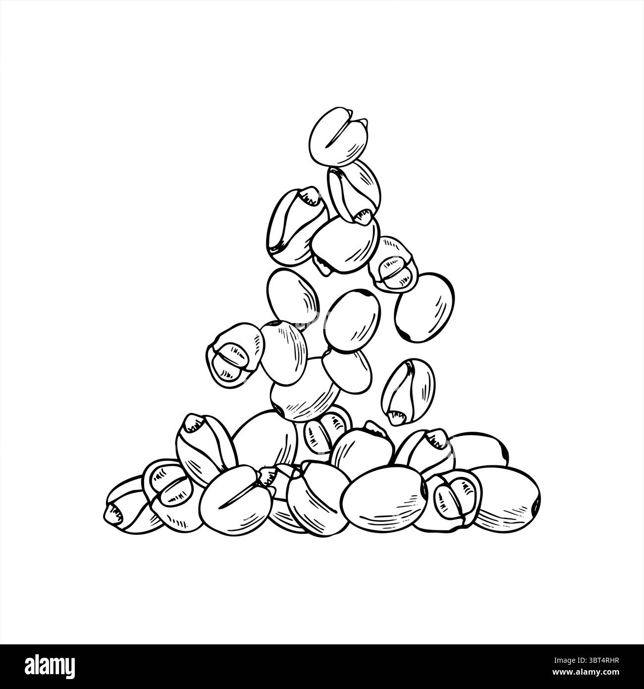 Fallende Bohnen in Stapelvektor monochrome handgemalte Illustration. Fleischlose gesunde Nahrung. Grafische Skizze mit Lotus-Nüssen oder Lupinen-Bohnen Stock Vektor