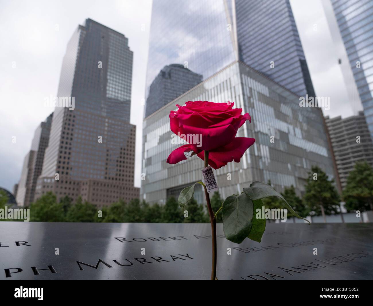 10. September 2019 – New York, New York, USA – Rote Rose am 9/11 Memorial am Tag vor dem 19. Jahrestag des Angriffs auf den WTC platziert (Credit Image: © Milo Hess/ZUMA Wire) Stockfoto
