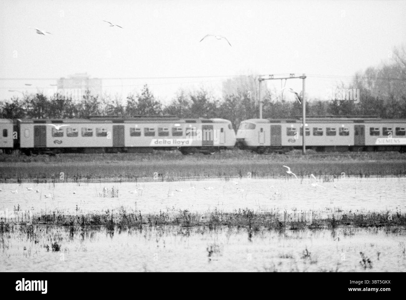 Birds on the Oudeweg Site Haarlem Oudeweg the Netherlands, Whizgle News, Dutch Desk, Niederlande, 1950 - 2000 am 08-11-1992. Dies sind die Elemente im Bild. Die Szene präsentiert eine ruhige, aber etwas stimmungsvolle Landschaft, dominiert von einer gedämpften Farbpalette aus Grau und weiß. Ein kleiner Wasserkörper, wahrscheinlich ein Feuchtgebiet, erstreckt sich über den Vordergrund, dessen Oberfläche den bewölkten Himmel darüber reflektiert. Das Wasser erscheint still, mit Andeutungen von hohen Gräsern oder Schilf, die direkt über der Wasserlinie sichtbar sind, teilweise durch flache Überschwemmungen verdeckt. Im Mittelfeld fahren zwei Züge auf benachbarten Gleisen aufeinander Stockfoto