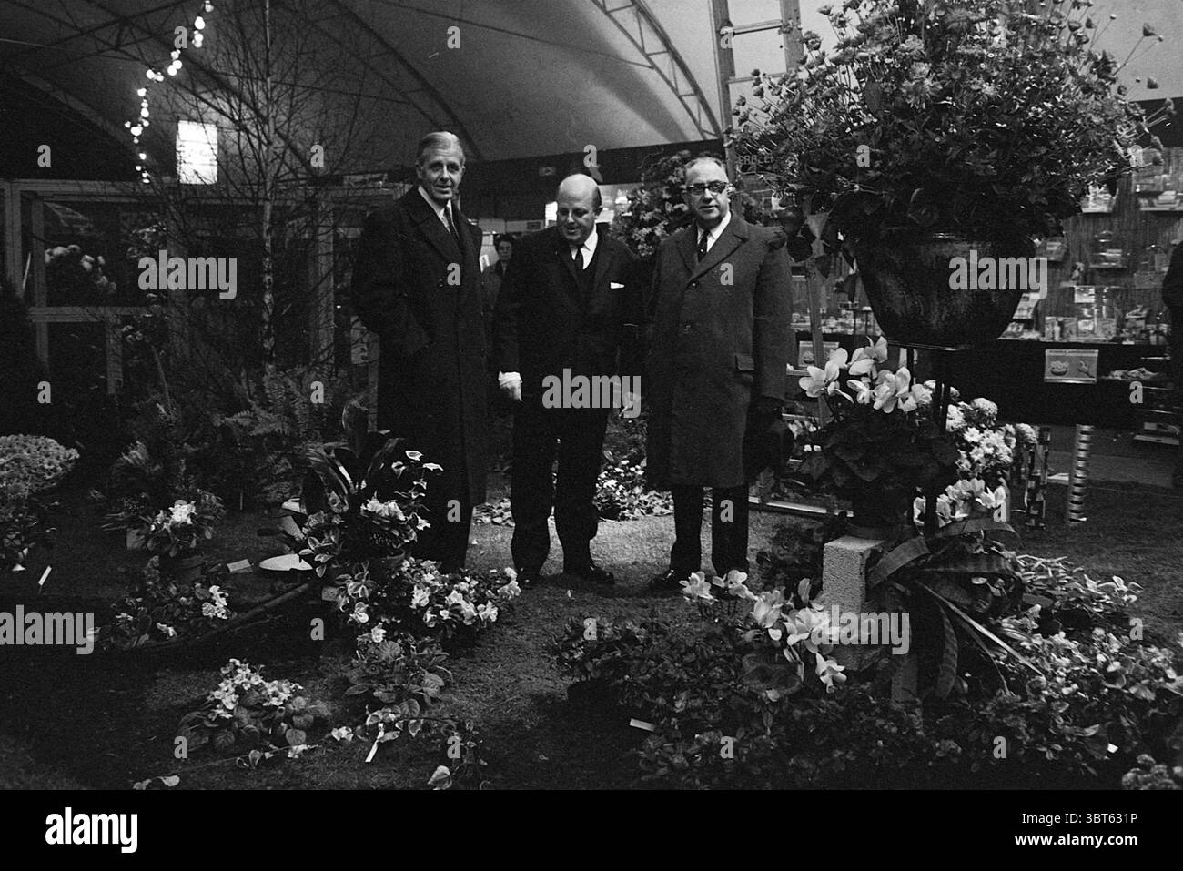 Eröffnungsausstellung Zwanenburg Eröffnungsöffnungen Inbetriebnahme Ausstellungen, Whizgle News, Dutch Desk, Niederlande, 1950 - 2000 am 22-11-1968. Dies sind die Themen im Bild. In einem belebten Innenbereich stehen drei gut gekleidete Männer in lebhaften Blumenarrangements. Die Männer tragen maßgeschneiderte Anzüge, die einen Hauch von Raffinesse ausstrahlen. Die höchste Figur trägt einen dunklen Mantel, während die anderen hellere Töne tragen, was zu einer Vielzahl von Texturen und Farbtönen in der Szene beiträgt. Sie umgeben eine Reihe von Pflanzen und Blumen in voller Blüte, die eine reiche Farbpalette bieten. Br Stockfoto