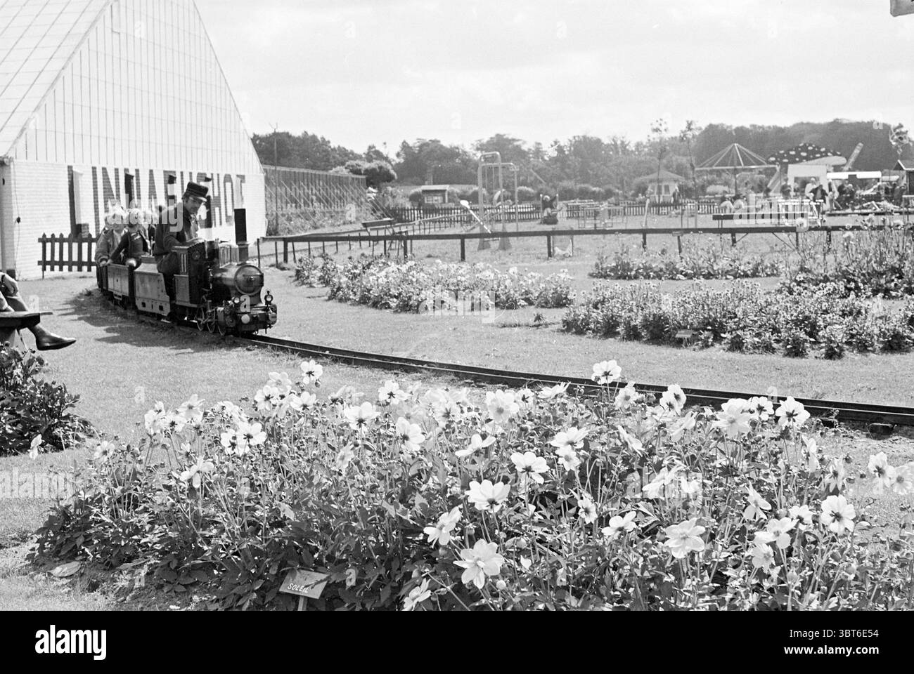 Dahlia Show Linnaeushof Lineushof, Whizgle News, Dutch Desk, Niederlande, 1950 - 2000 am 15-08-1968. Dies sind die Themen im Bild. In einer lebhaften Umgebung im Freien schlängelt sich ein Miniaturzug auf einer Strecke, dessen kleiner schwarzer Motor eine sanfte Rauchwolke aufbläst. Der Zug zieht mehrere farbenfrohe Kutschen, von denen jede mit begeisterten Fahrgästen gefüllt ist, meist mit Kindern, deren aufgeregter Ausdruck Freude ausstrahlt. Rund um die Bahngleise gibt es eine lebhafte Vielfalt von Blumen in voller Blüte, mit sanften Rosa-, Gelb- und Weißtönen, die sich von dem üppigen grünen Laub abheben. Die fl Stockfoto