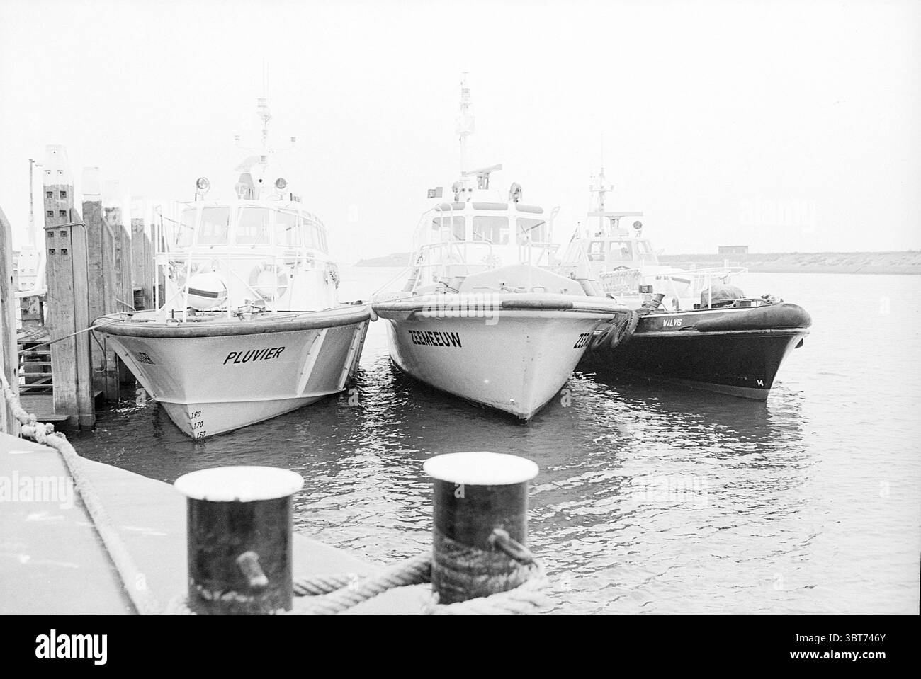 Lotsenboote Lotsdienst IJmuiden Lotsendienst, Whizgle News, Dutch Desk, Niederlande, 1950 - 2000 am 22-09-1977. Diese Themen sind in der Abbildung dargestellt. Die Szene zeigt eine ruhige Hafenumgebung, dominiert von drei Booten, die nebeneinander an einem Dock anlegen. Die Schiffe sind hauptsächlich weiß und etwas größer als typische Freizeitboote, wobei die meisten ein Gefühl von Nutzen und Zweck zeigen. Ein Boot zeichnet sich durch einen markanten schwarzen Rumpf aus, der sich stark von den helleren Tönen der anderen abhebt. Die Farbpalette ist gedämpft und betont Grautöne, die einen verleihen Stockfoto