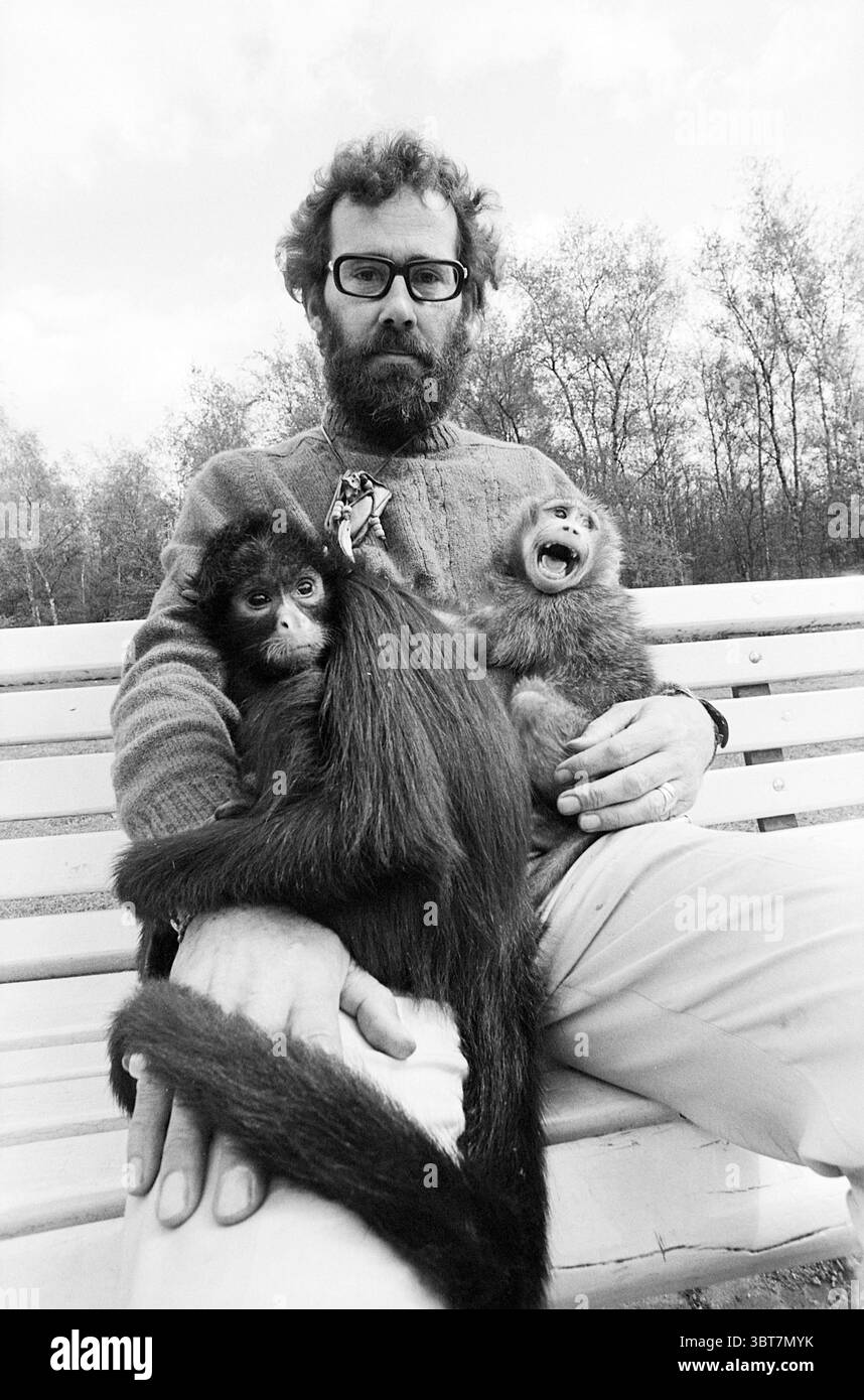 Affenhalter Amstelveen Animals, Whizgle News, Dutch Desk, Niederlande, 1950 - 2000 am 28-04-1972. Das Bild enthält diese Themen. In dieser Szene sitzt ein Mann draußen auf einer Bank, umgeben von der Natur. Er hat ein markantes Aussehen mit lockigen Haaren und Brillen, trägt einen dicken Pullover. Sein Ausdruck ist ruhig und besinnlich, vielleicht spiegelt er ein Gefühl der Verbundenheit mit den Tieren neben ihm wider. Zwei Affen ruhen auf ihm, einer auf seinem Schoß und ein anderer auf seiner Seite. Jeder Affe hat eine einzigartige Haltung und einen einzigartigen Ausdruck, der seine individuellen Persönlichkeiten zum Ausdruck bringt. Der auf seiner Schoß-App Stockfoto