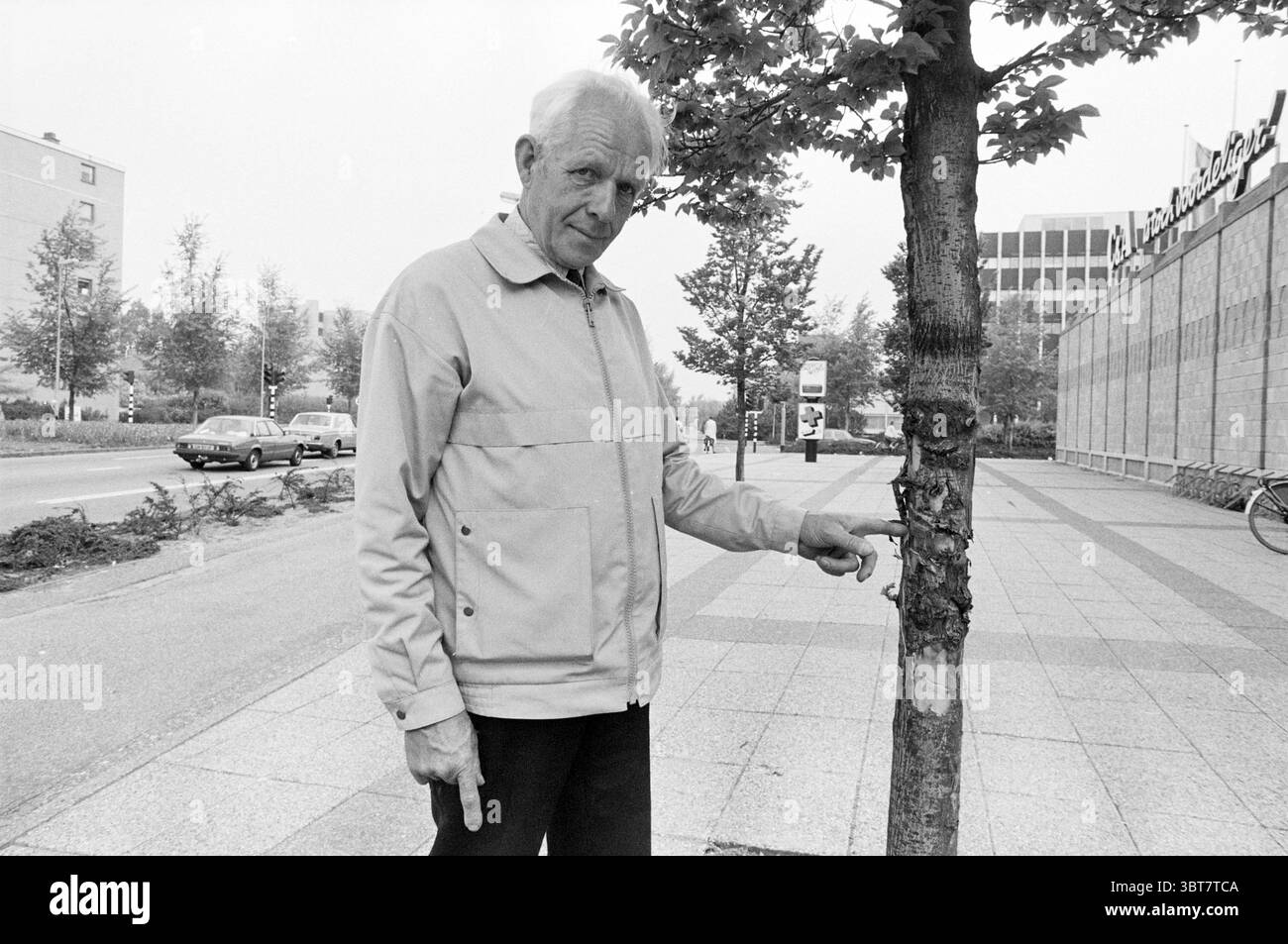 Mr. Lock for Damaged Trees Schalkwijk Trees, Whizgle News, Dutch Desk, Niederlande, 1950 - 2000 am 18.05.1982. Dies sind die Elemente im Bild. Ein Mann mittleren Alters steht neben einem schlanken Baum, dessen Rinde leicht rau und strukturiert ist. Er trägt lässig eine helle Jacke mit einer lockeren Passform und eine dunkle Hose. Er zeigt auf einen bestimmten Bereich auf der Baumrinde mit einem nachdenklichen Ausdruck. Die Umgebung ist städtisch, mit einem breiten, gepflasterten Fußweg, der von grünem Gras und kleinen Sträuchern umgeben ist. Im Hintergrund sind flache Gebäude zu sehen, deren Fassaden schlicht und schlicht sind Stockfoto