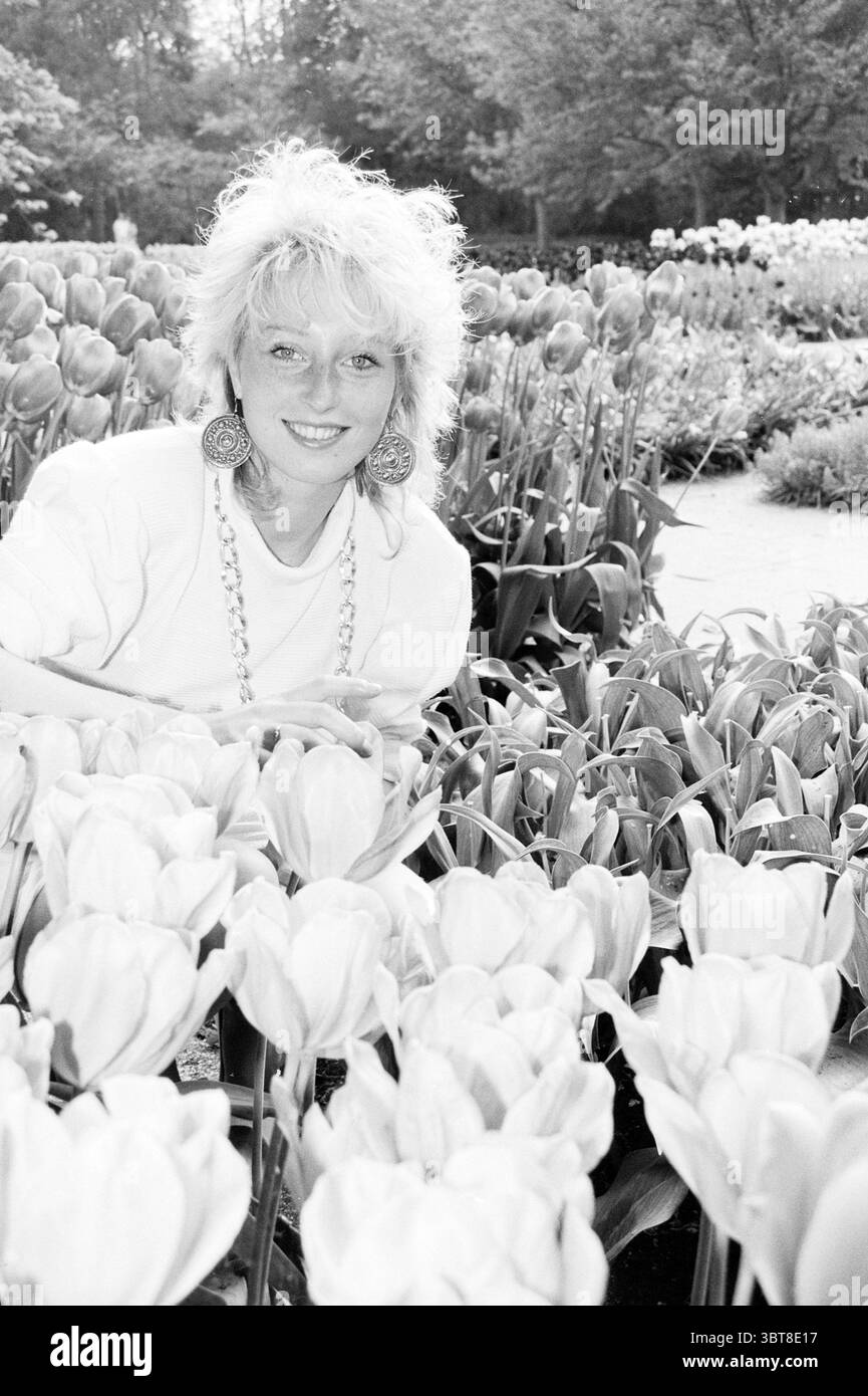Sylvia Schaftenaar in Keukenhof Tulpen wegen Saisonende Keukenhof' Stiftung Nachlass in Lisse' Lisse Stationsweg, Whizgle News, Dutch Desk, Niederlande, 1950 - 2000 am 15.05.1988. Diese Themen sind in der Abbildung dargestellt. In einem lebendigen Garten voller blühender Blumen befindet sich eine Frau inmitten einer üppigen Tulpenpalette. Sie hat gestyltes, lockiges Haar, das ihr Gesicht umrahmt und ein Gefühl von Freude und Wärme ausstrahlt. Ihre Kleidung ist lässig und hat ein einfaches, helles Oberteil, das einen guten Kontrast zu den umgebenden Farben bildet. Die Tulpen, in verschiedenen Rosa-, Gelb- und Weißtönen, bilden eine Stockfoto